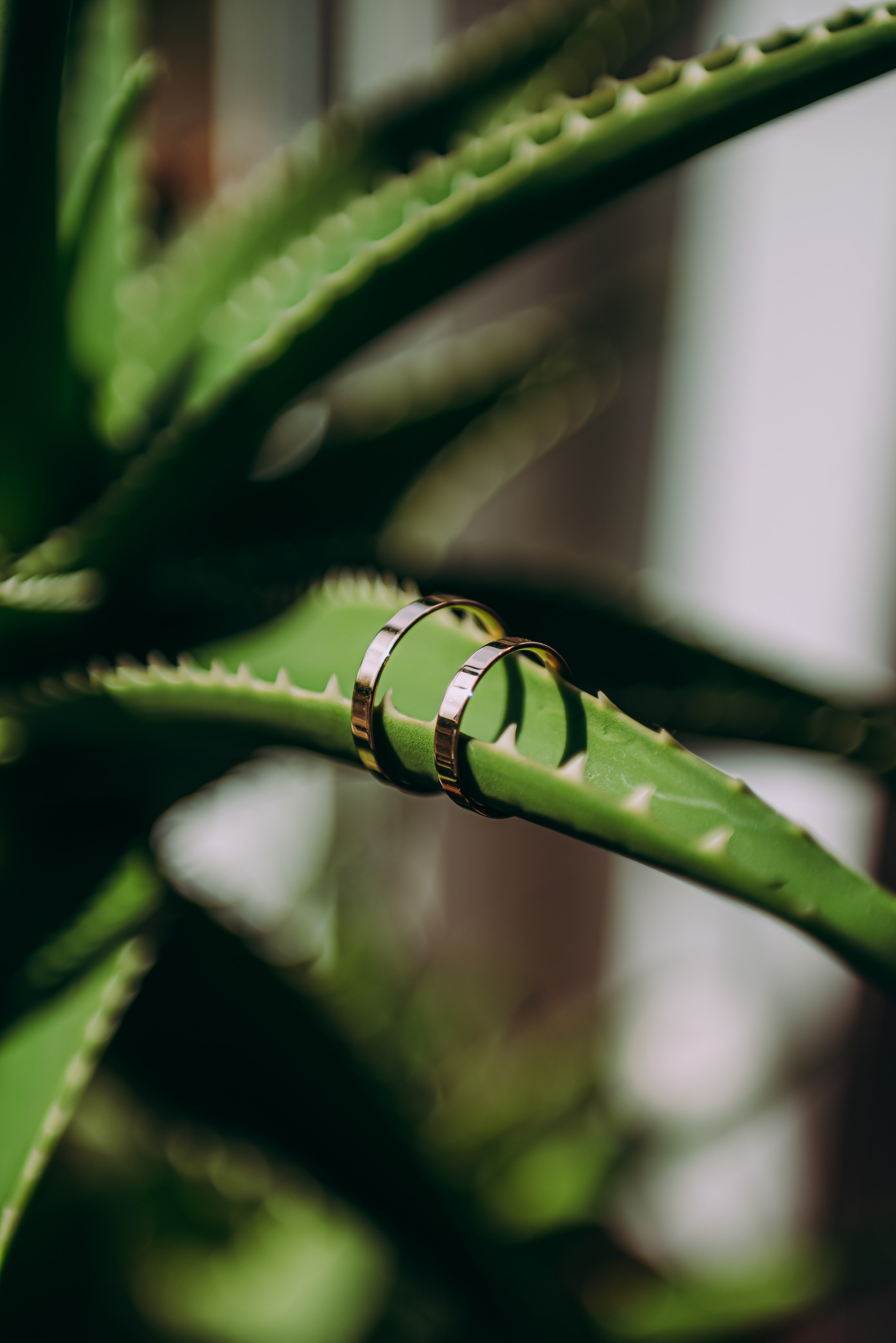 Свадебная фотосессия в музыкальном театре в г. Кемерово
