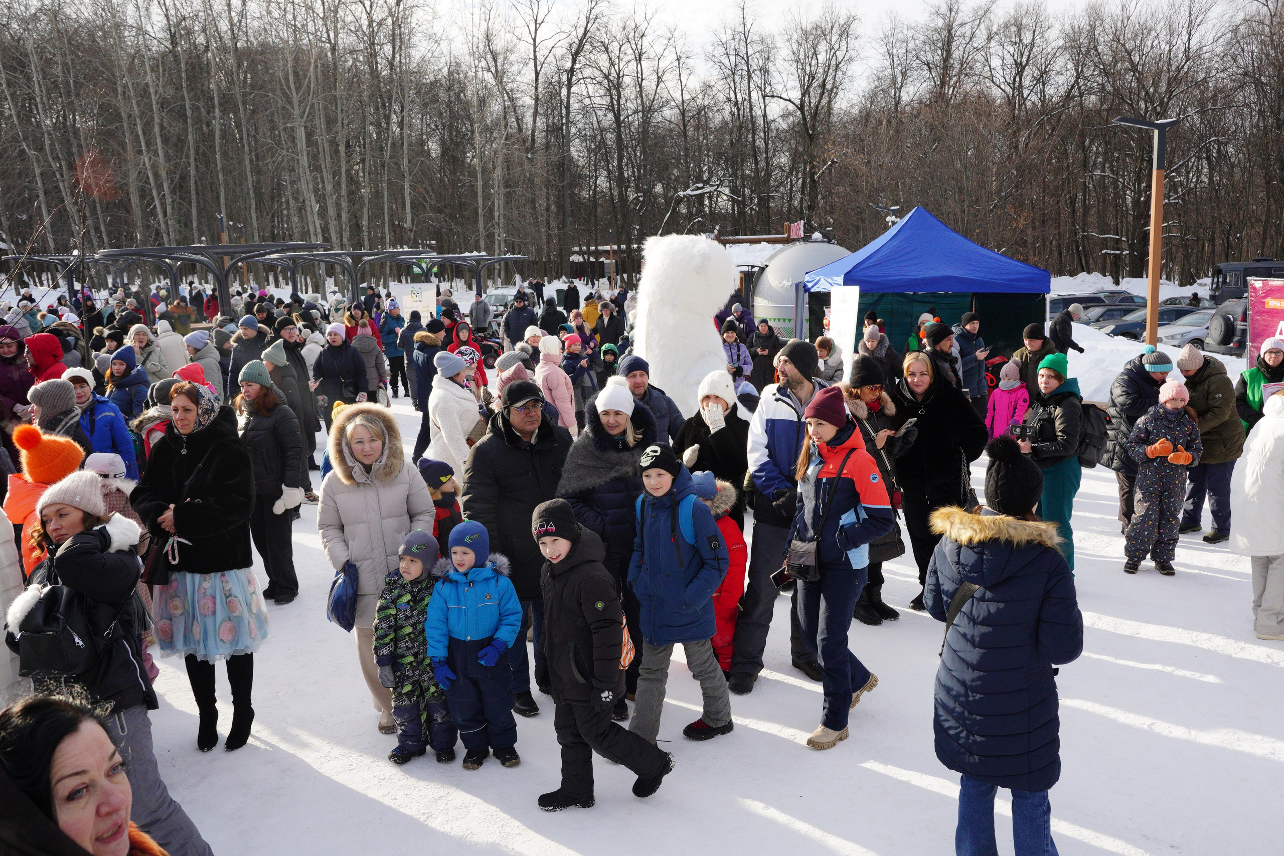 Благотворительная Акция «Ищу Человека». Pupov.png