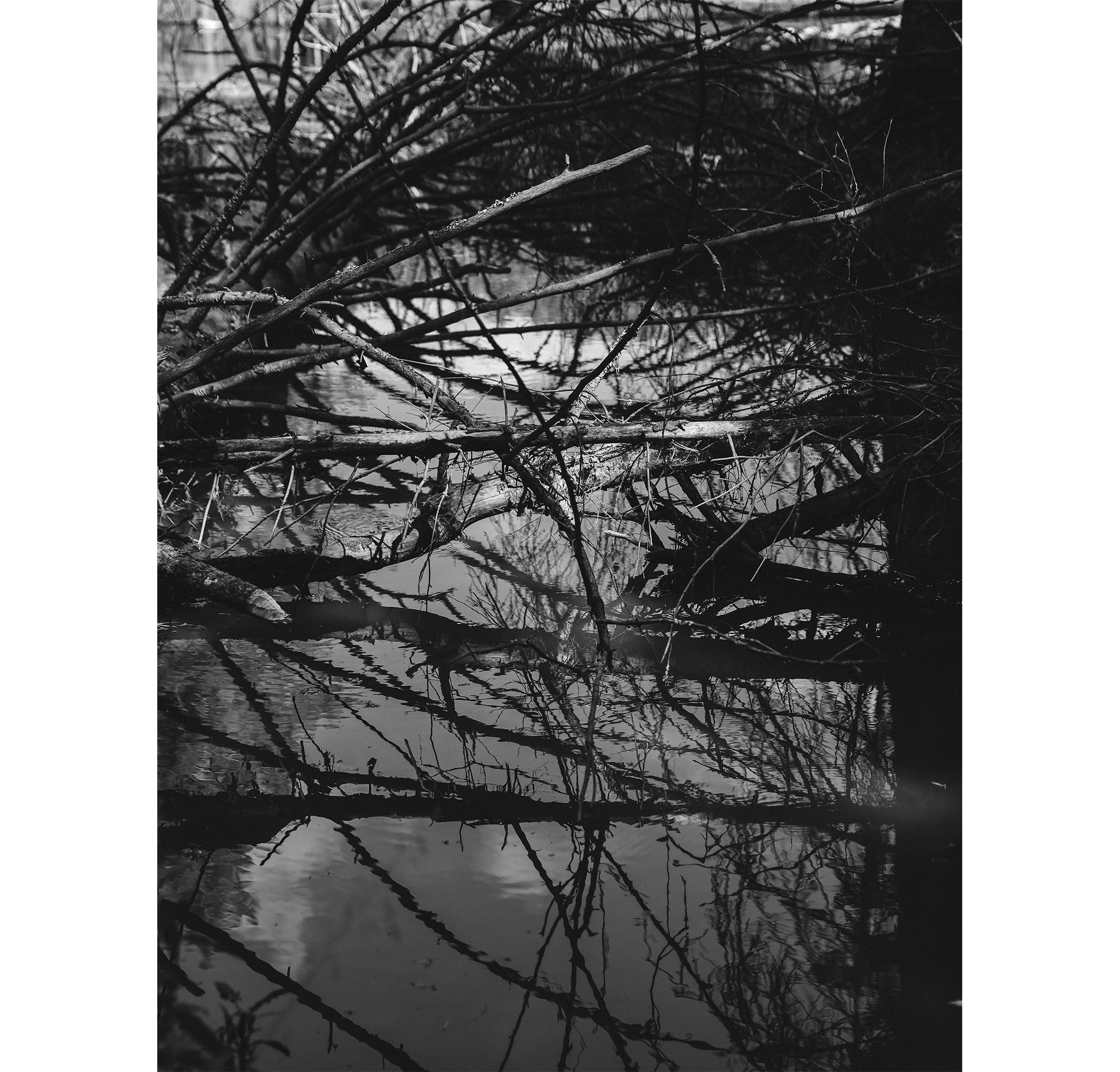 Summer hike. Фотограф/дизайнер в Екатеринбурге Хитрый Дмитрий