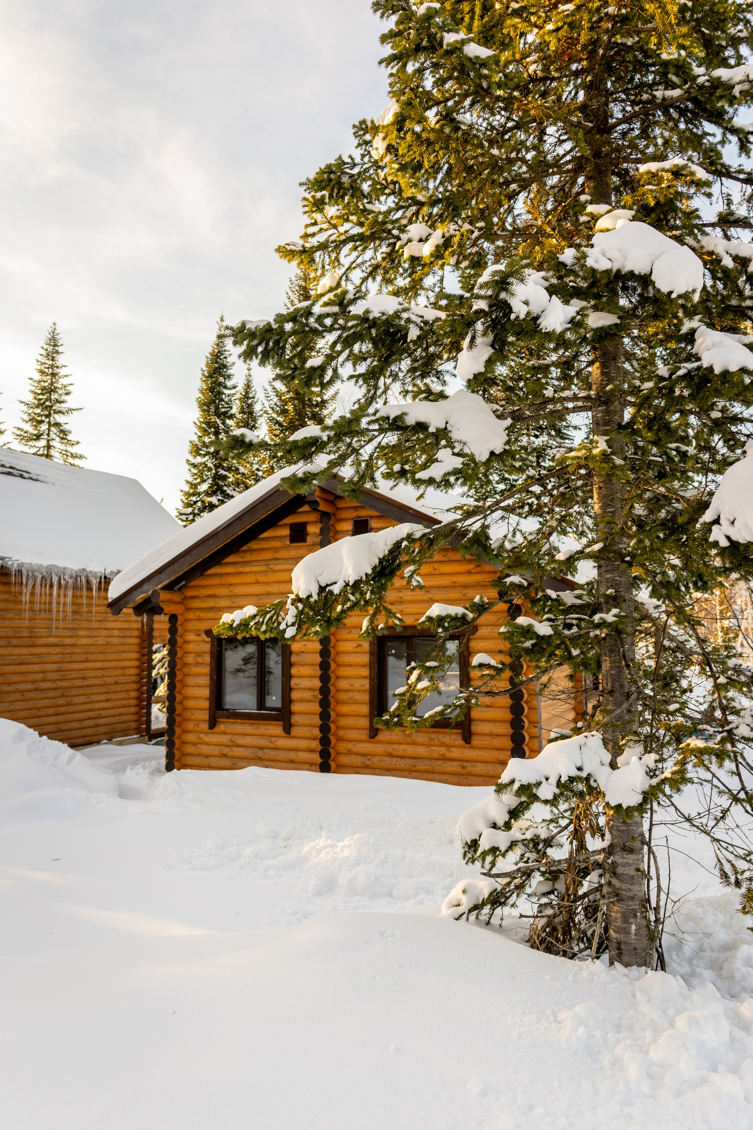 Home. Анастасия Паршукова — фотограф Шерегеш Новосибирск