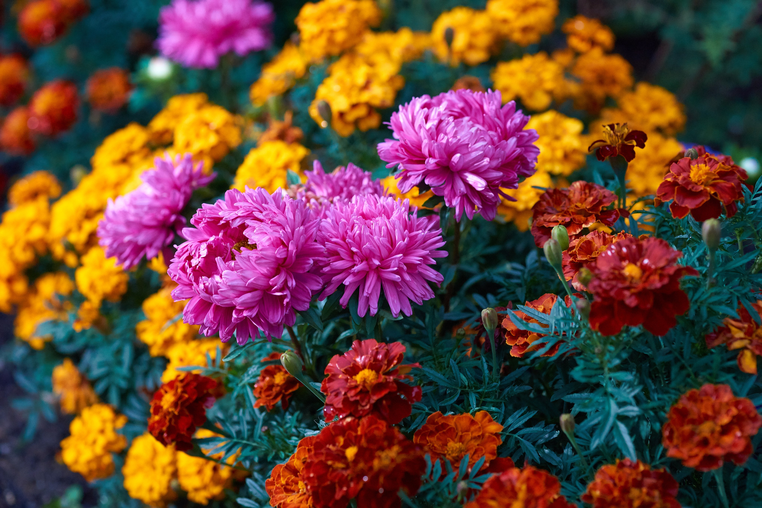 Наша мать — природа. Фотограф Владимир Артамонов