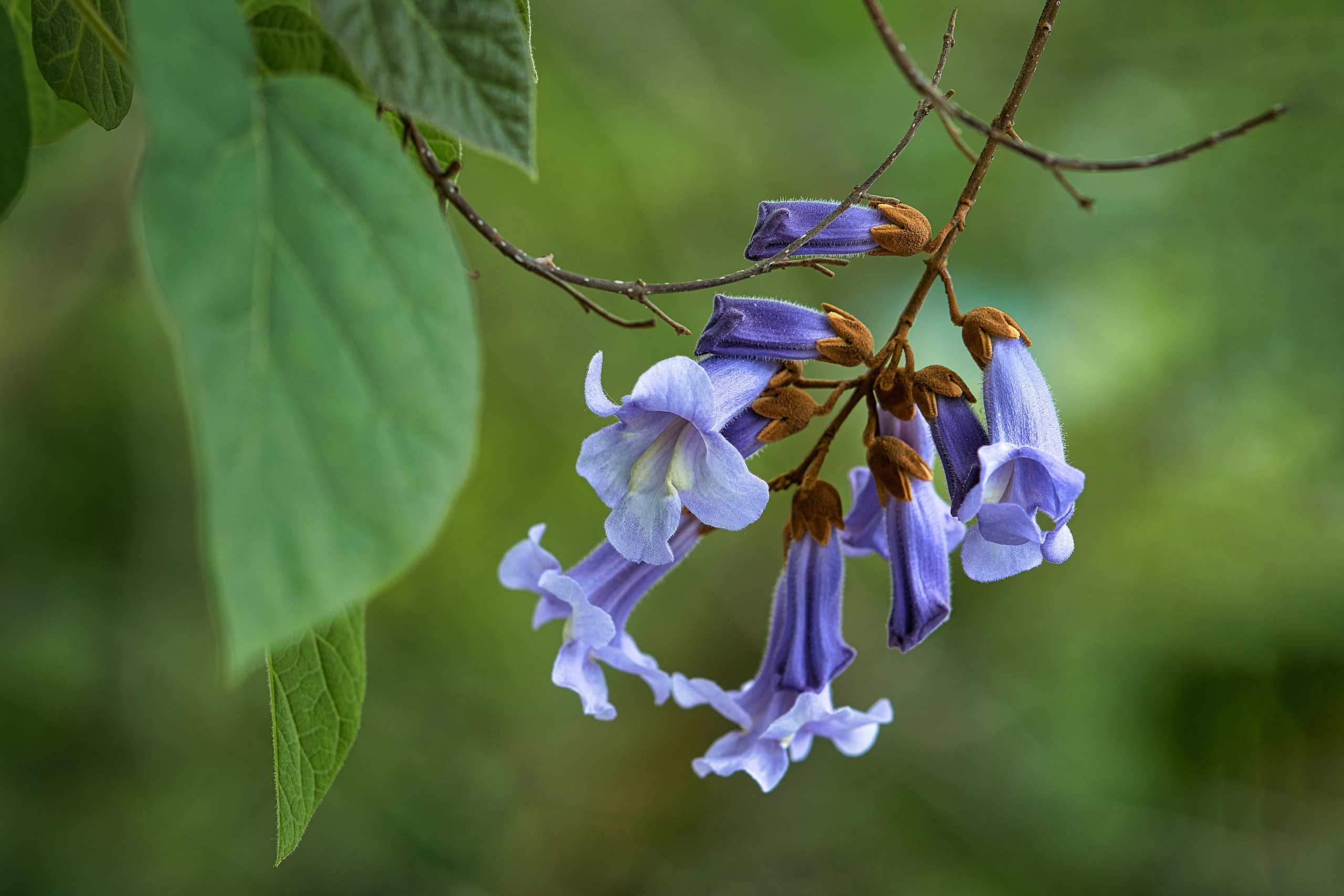 Сочи. Чёрное море. Фотограф Владимир Артамонов