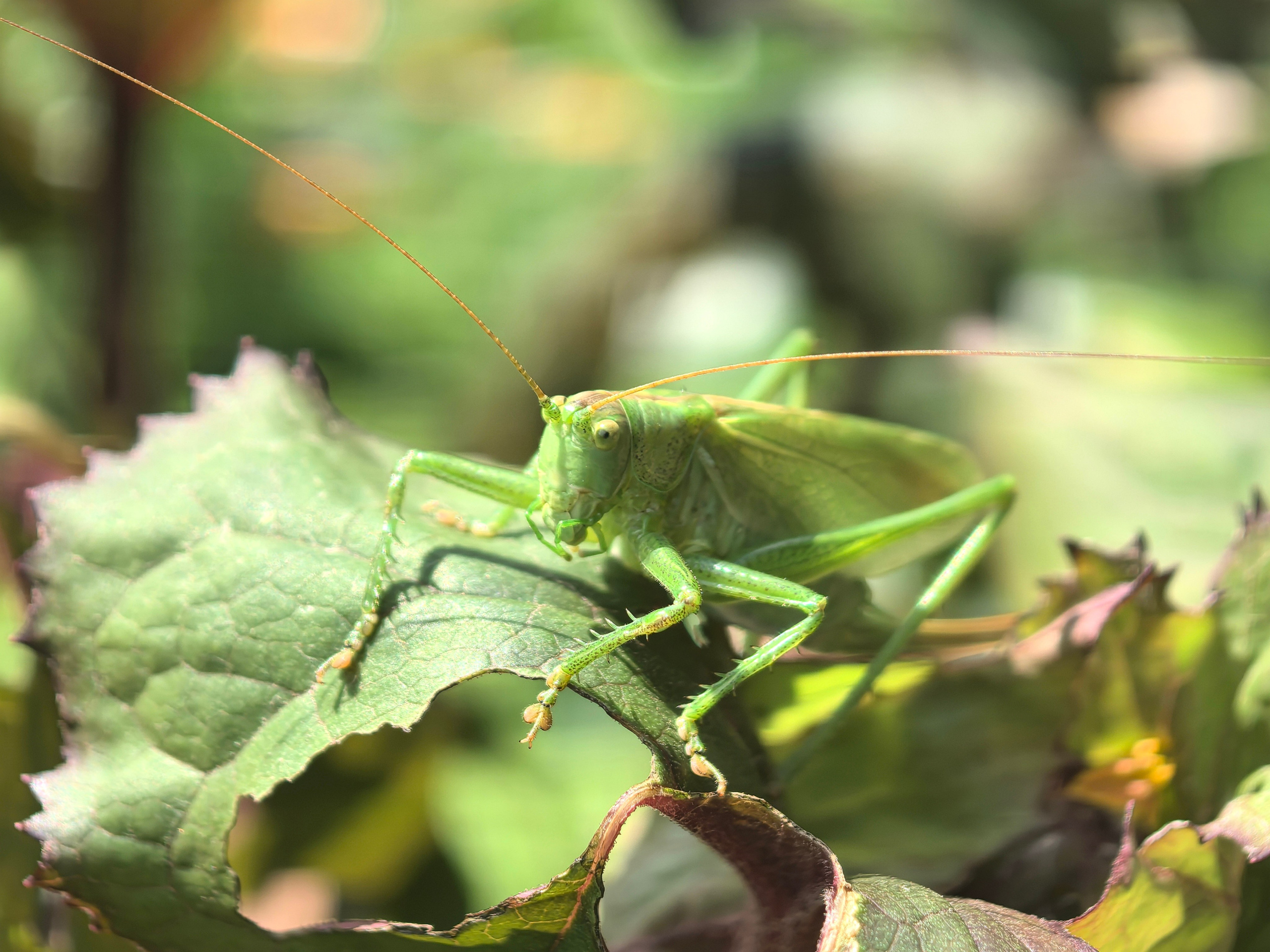 ПочтиМАКРО. Школьные выпускные альбомы в Москве Марина Николаева