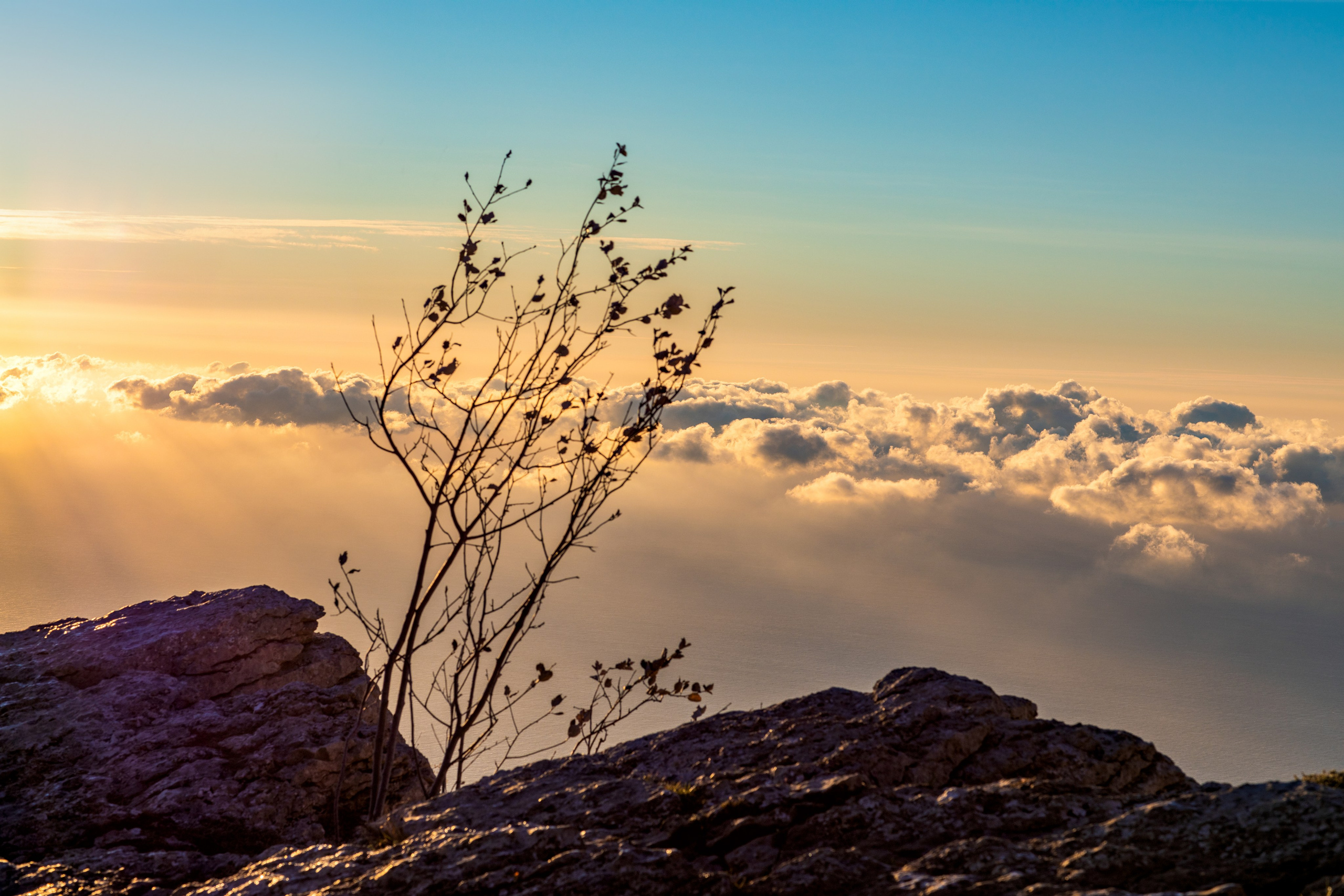 АЙ-ПЕТРИ. Фотограф Севастополь/Крым Светлана Евтушенко