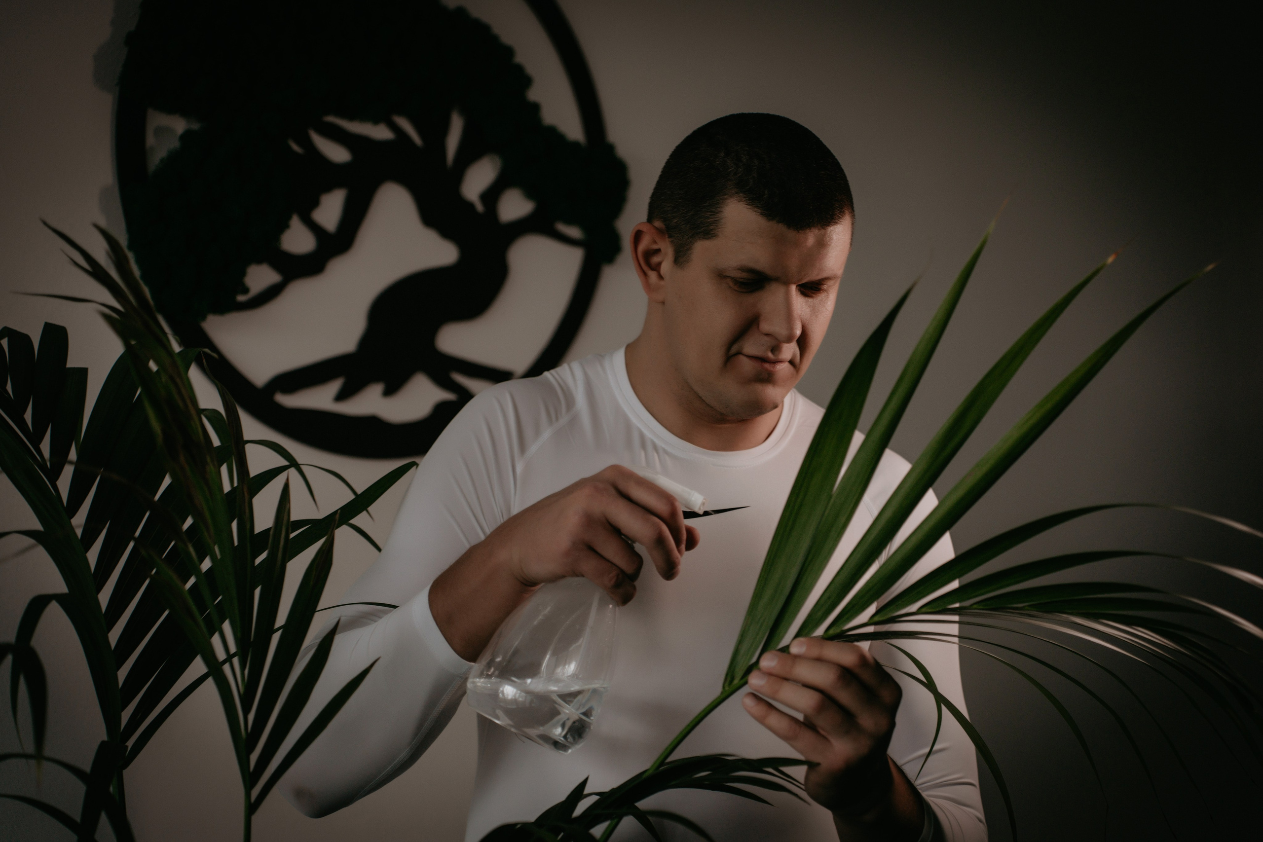 Кабинет кинезиотерапии. Фотограф и Видеограф Севастополь Крым