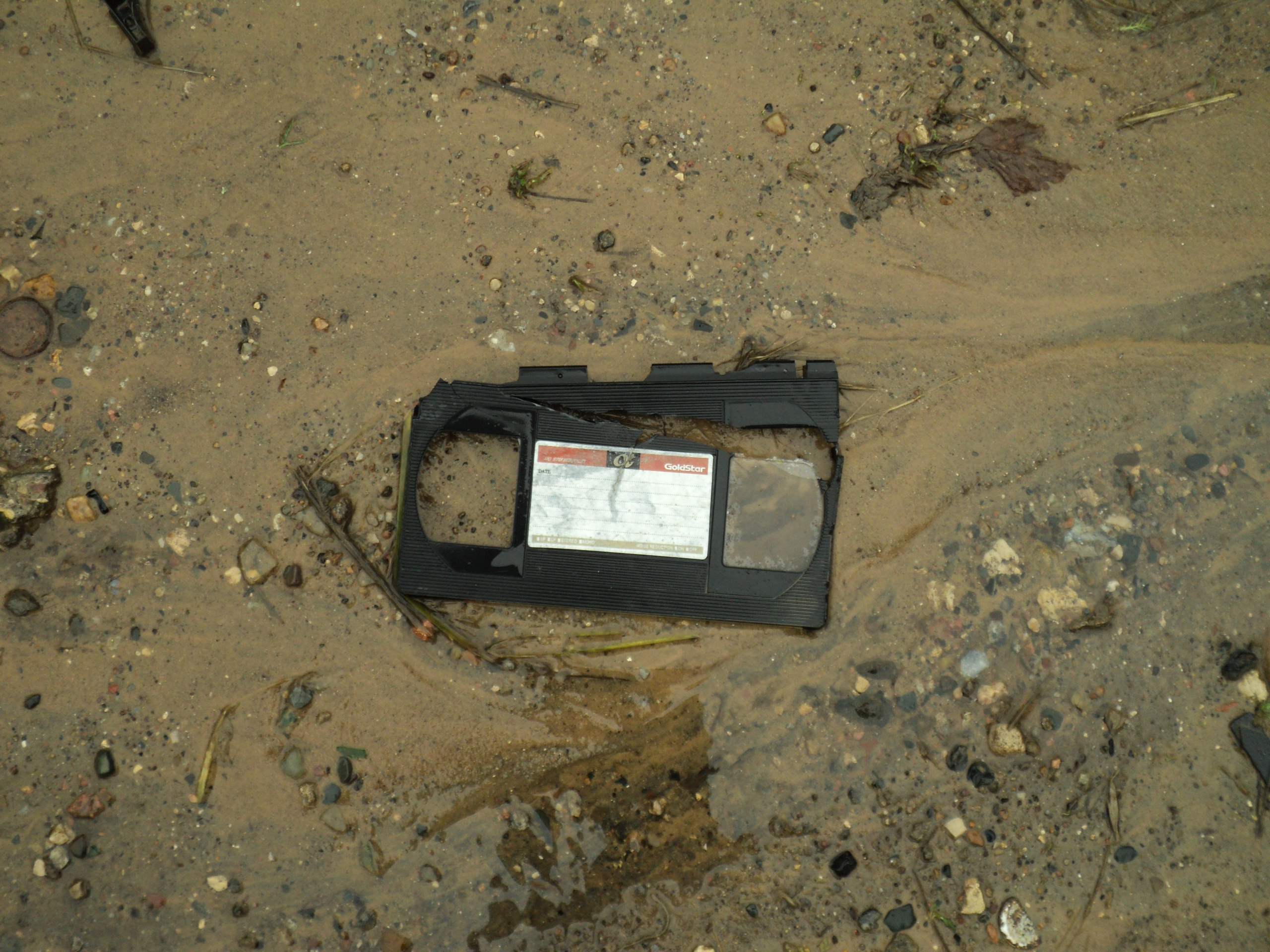 Сентябрь 2025