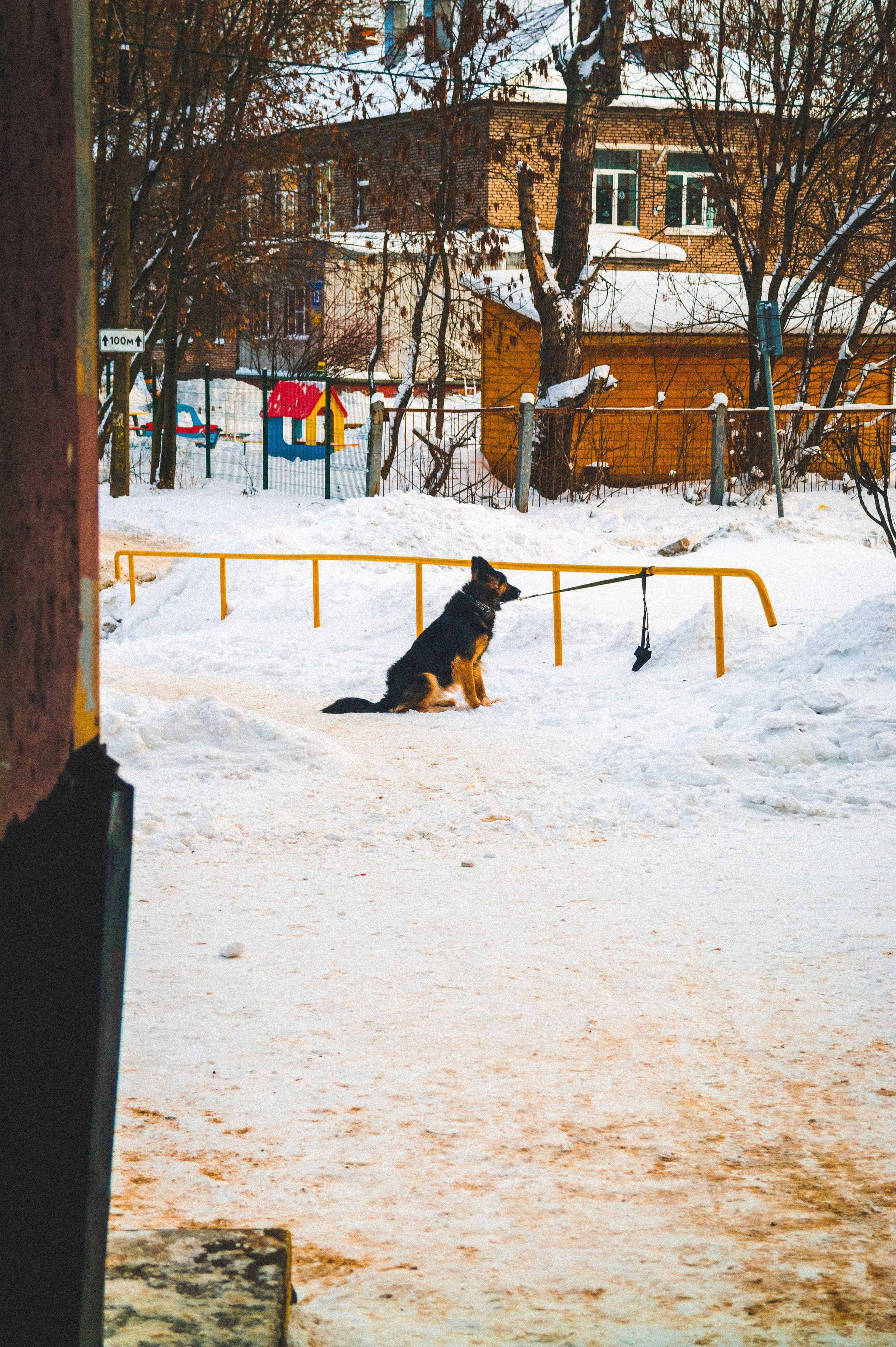 Солнечный Час. Den Mirov — Фотограф, Музыкант