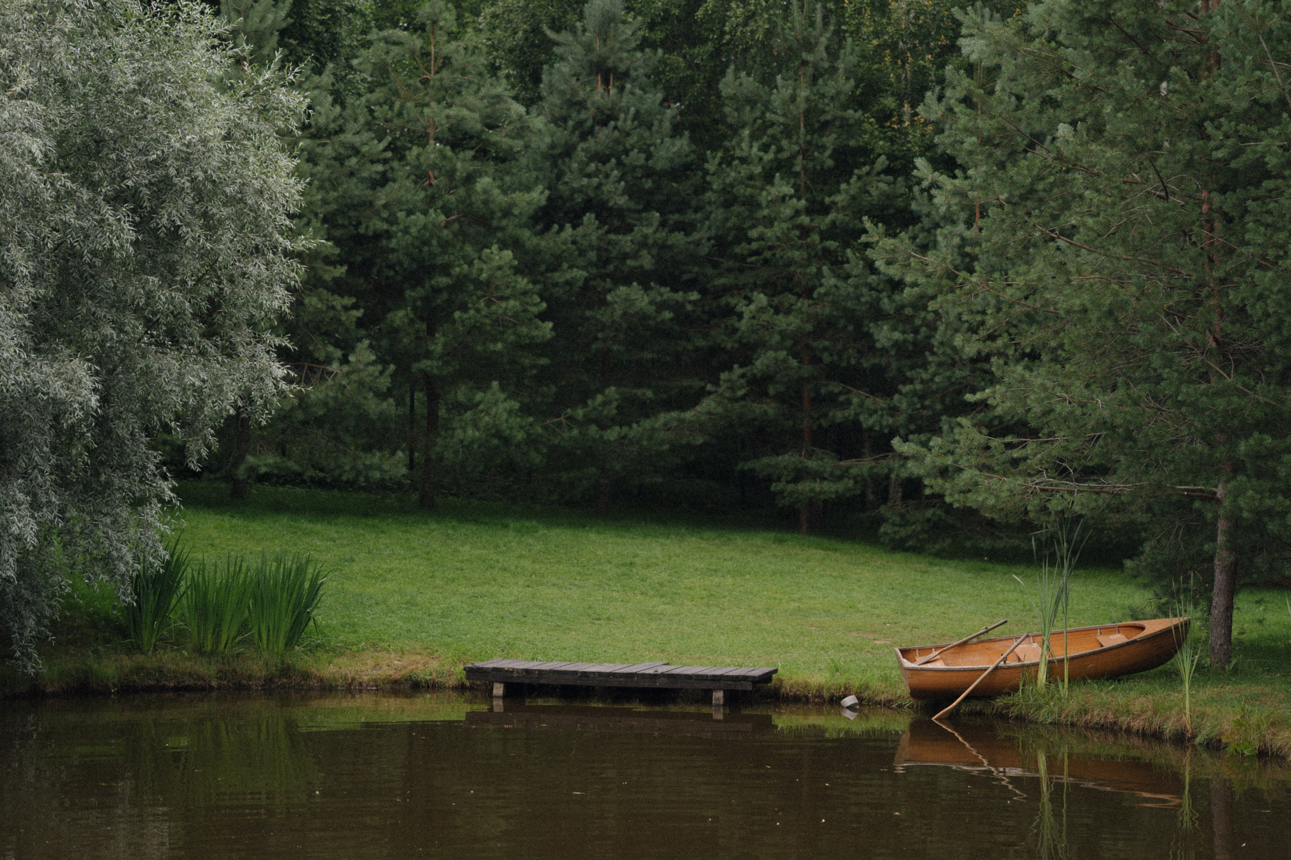 Forest Symphony. Фотограф в Санкт-Петербурге Александр Дымов