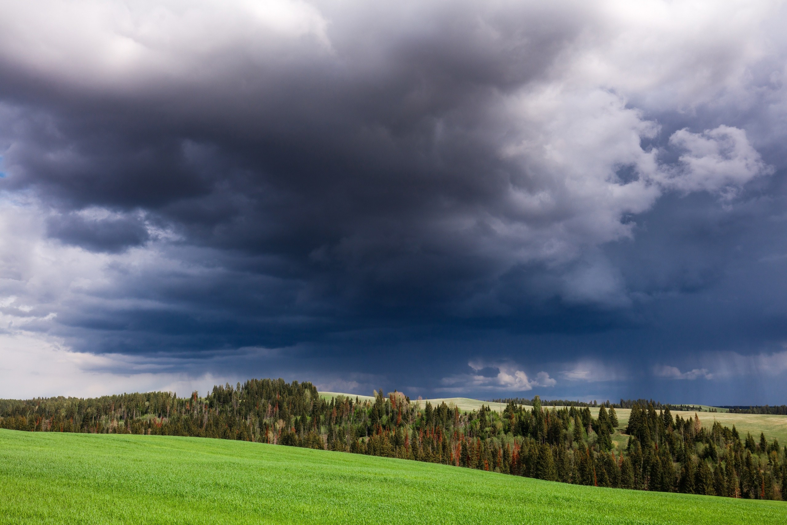Творчество. Профессиональный фотограф Амир Закиров