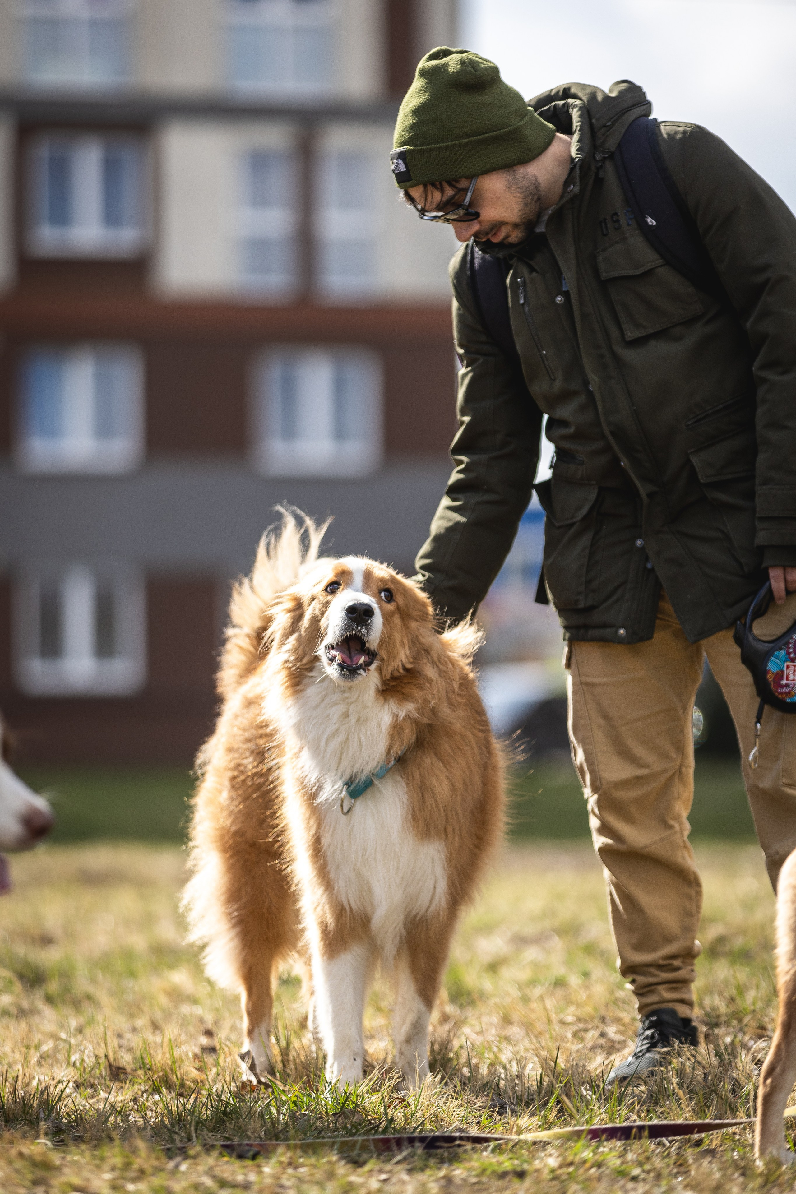 Догтуса 24.03.2024. Ирина Голомб|Фотограф-анималист в  Сочи и Калининграде