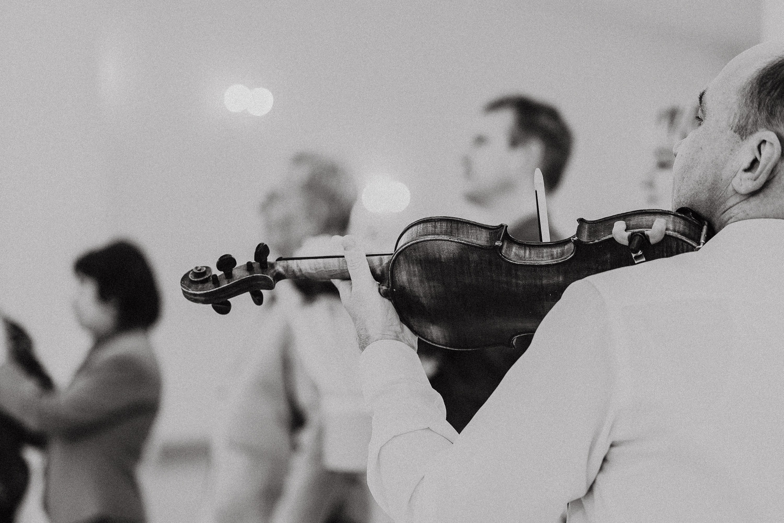 Свадьба Анастасии и Сергея. Фотограф. Фотограф-анималист. Москва