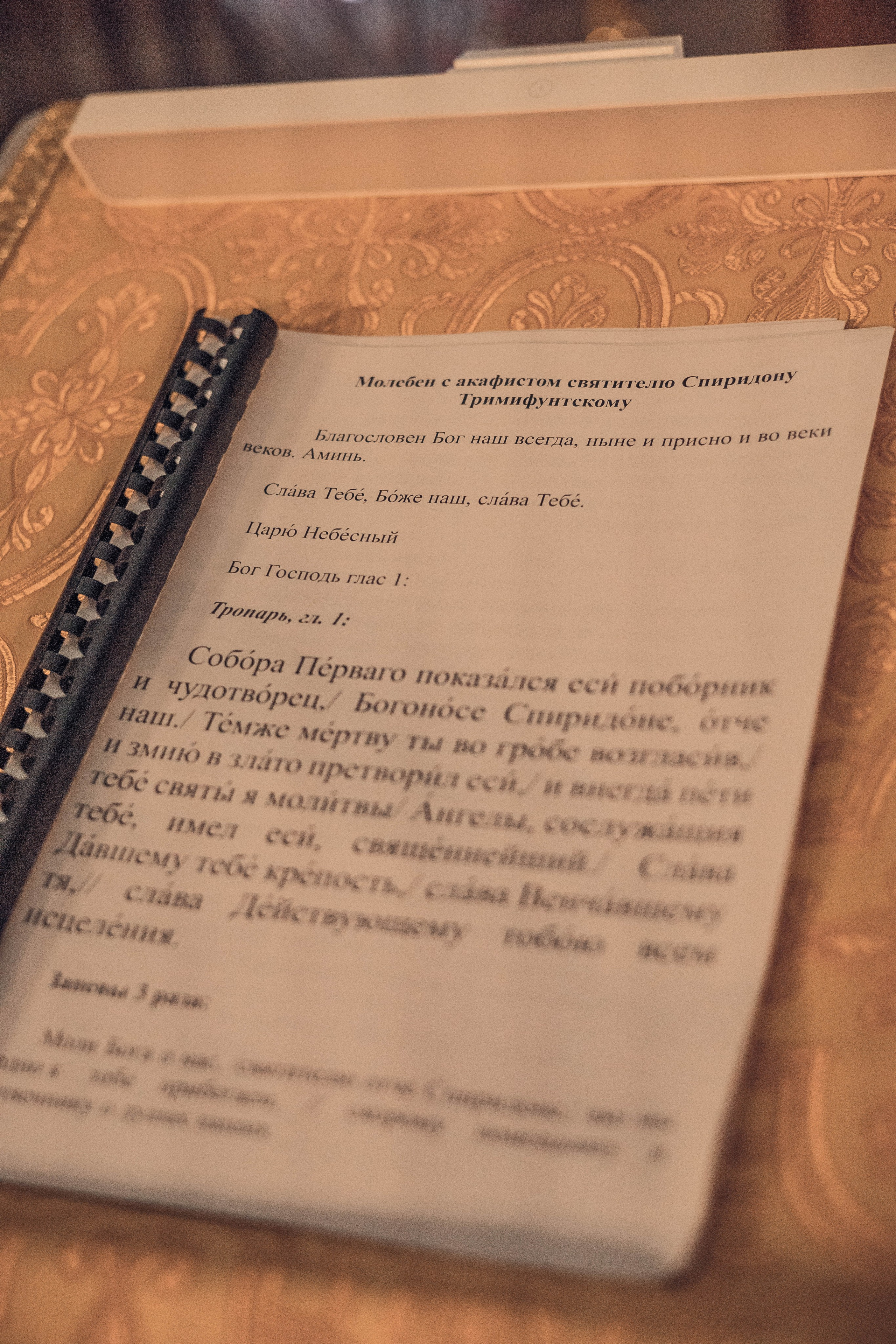 Храм Воскресения Словущего в Барашах.Всенощное накануне дня памяти Спиридона Тримифунтского. Артеменкова Анна Фотограф