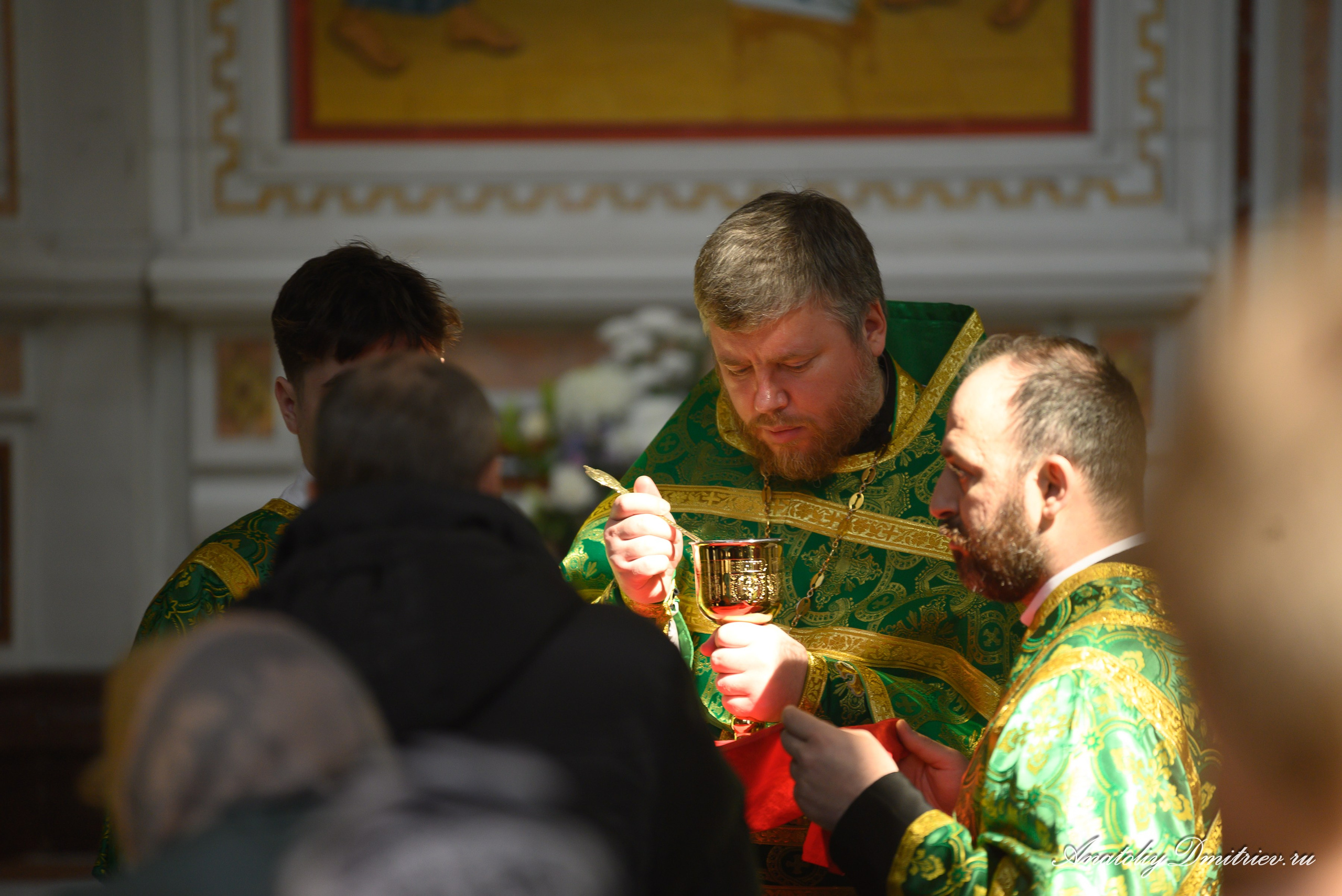 Вербное 2025. Фотограф  Крещения и Венчания Калининград