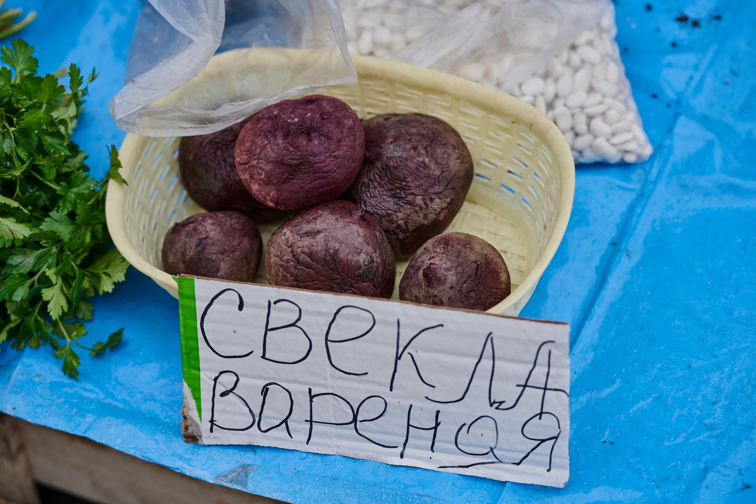 Северодонецк (Луганская область). Декабрь 2024. Фотограф Роман Адлер