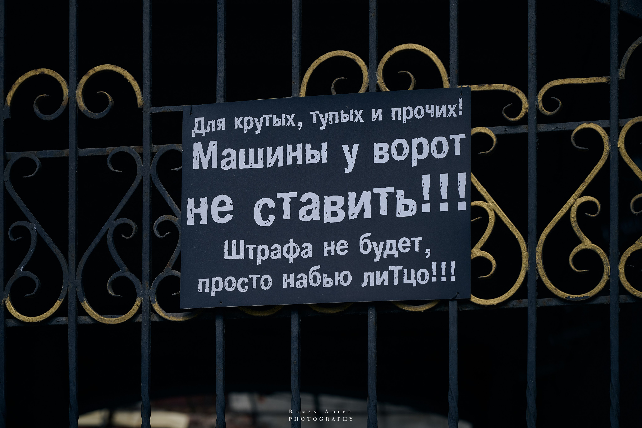 Воронеж. Август 2024. Фотограф Роман Адлер