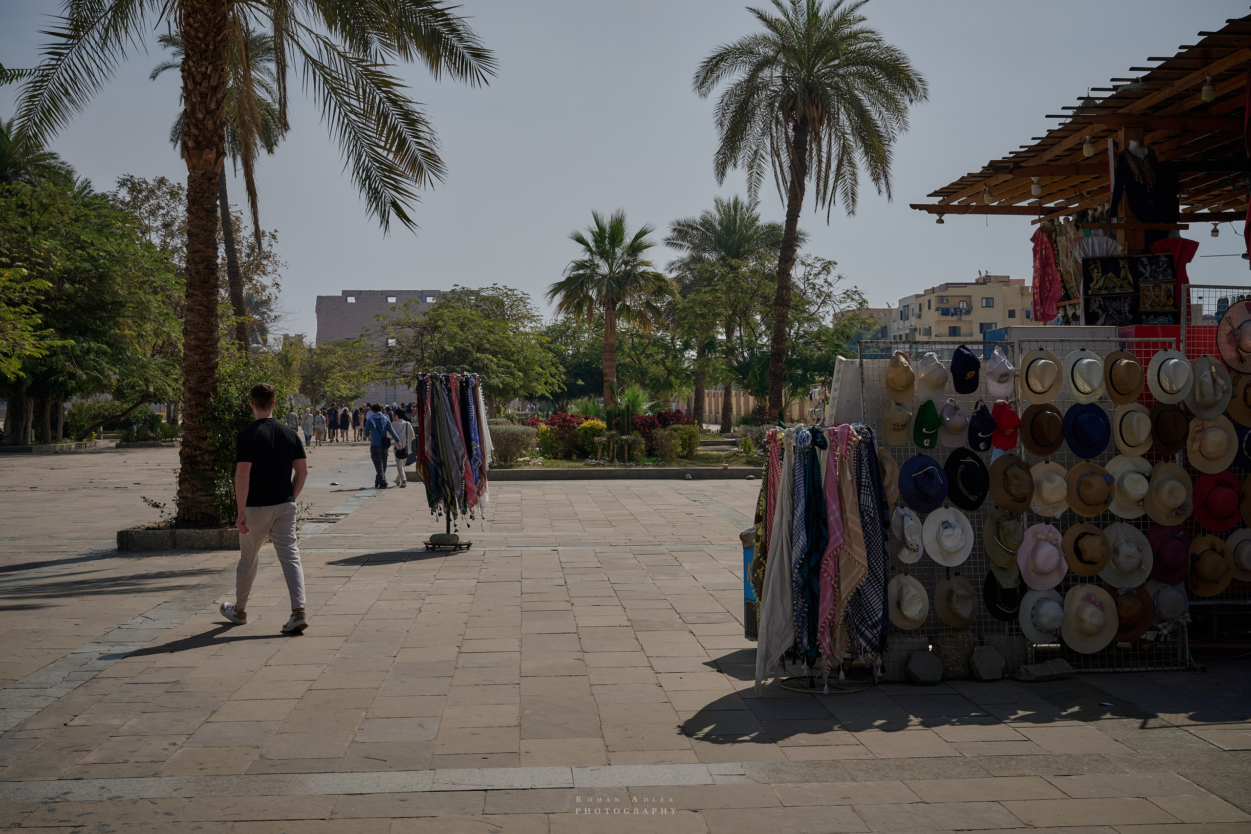 Луксор. Февраль 2025. Фотограф Роман Адлер