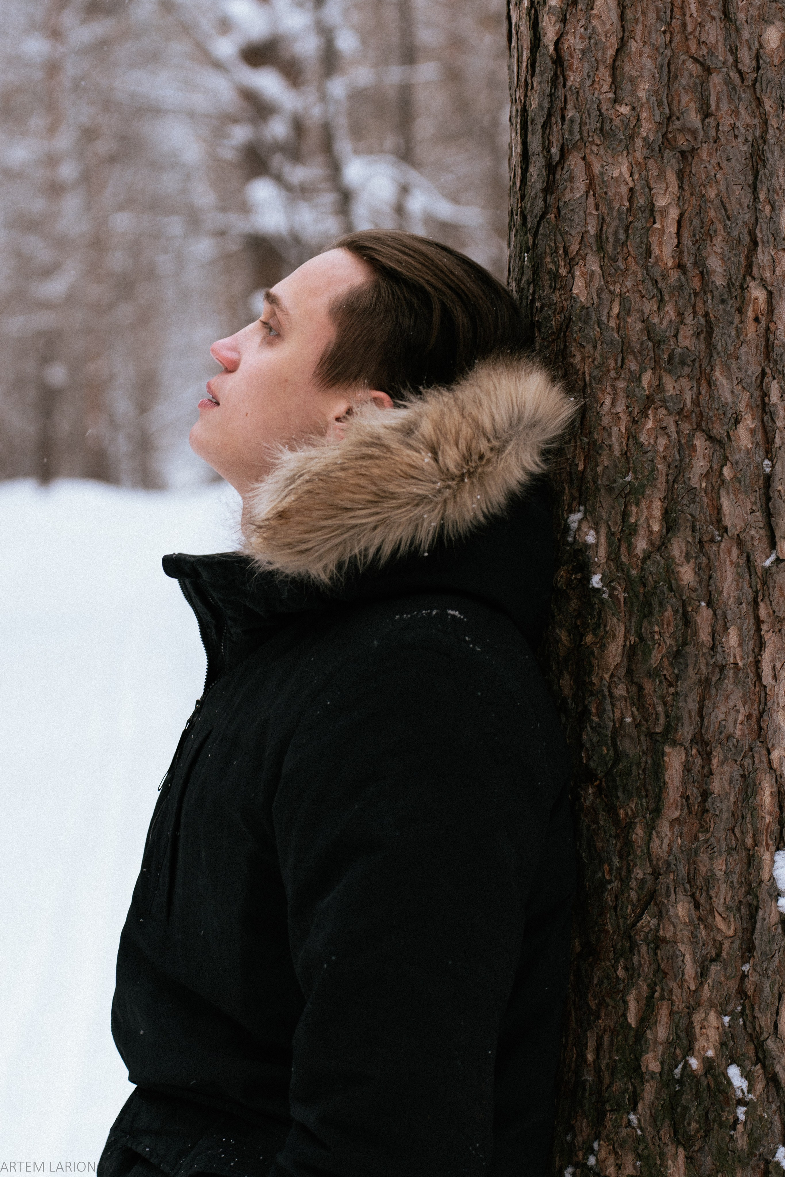 Снежный лес. Фотограф Артем Ларионов