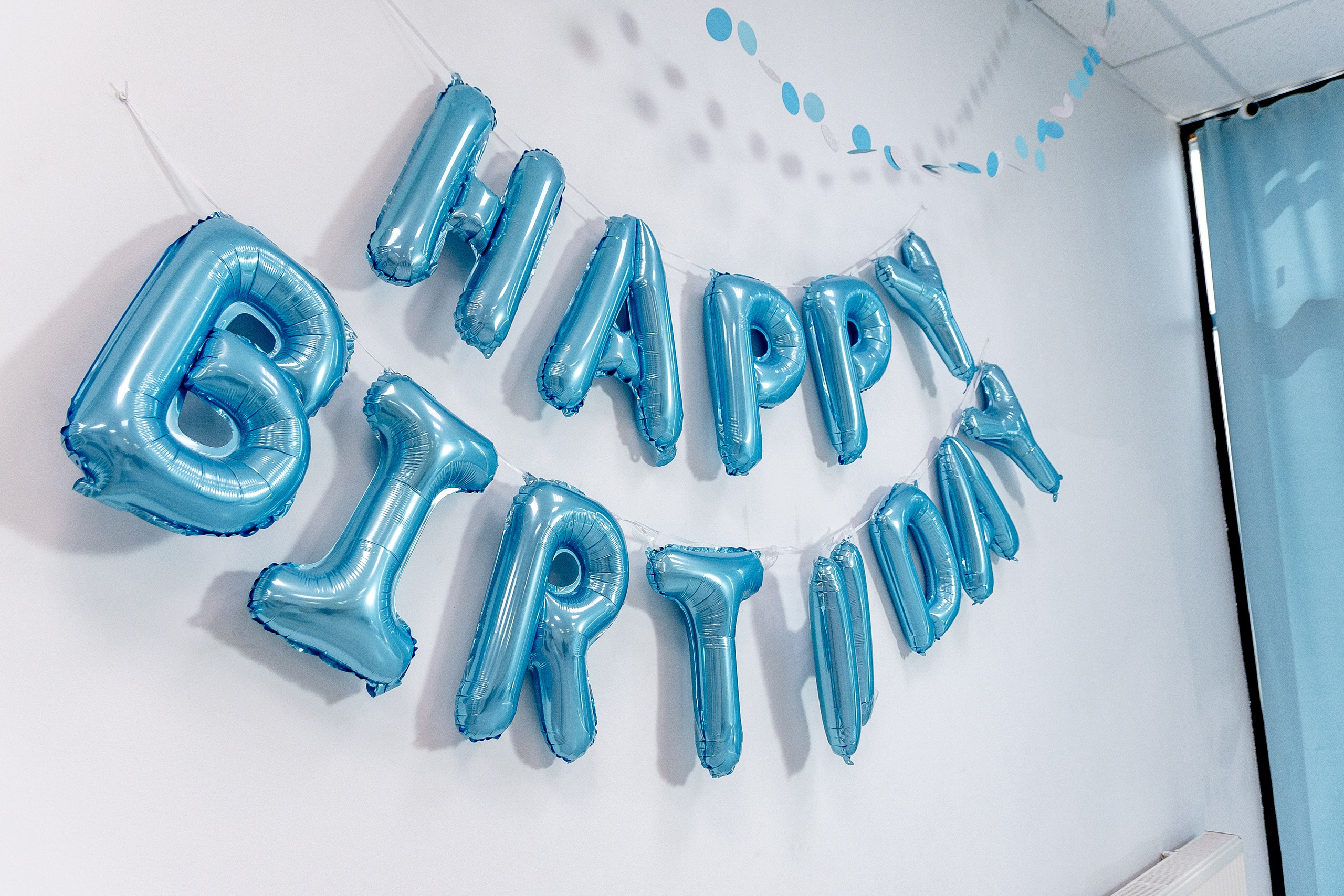 Авокадо. Фотограф Елена Медок Калининград