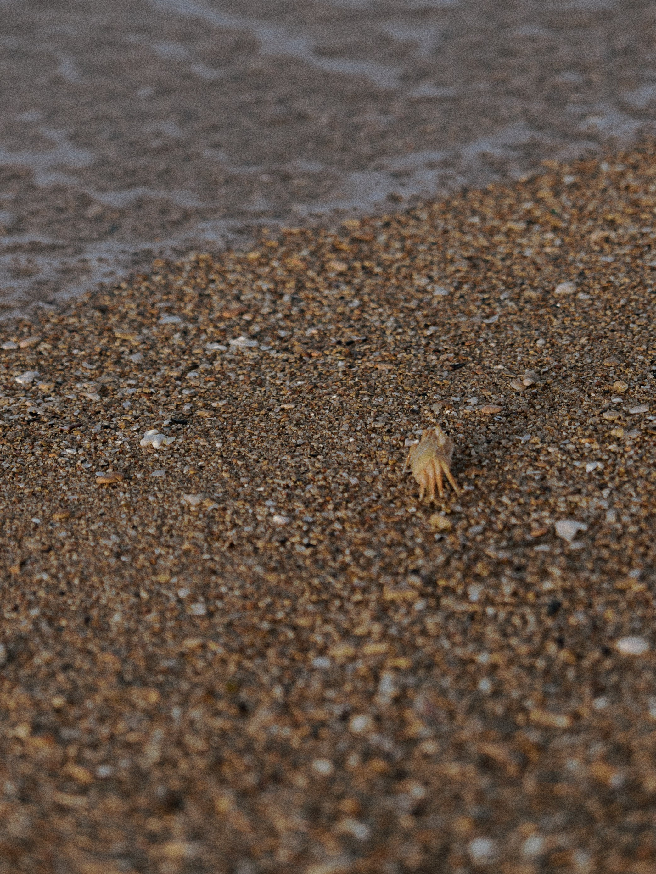 Природа. Jorgis Talè — photographer, kind person, teacher of arts and other mag