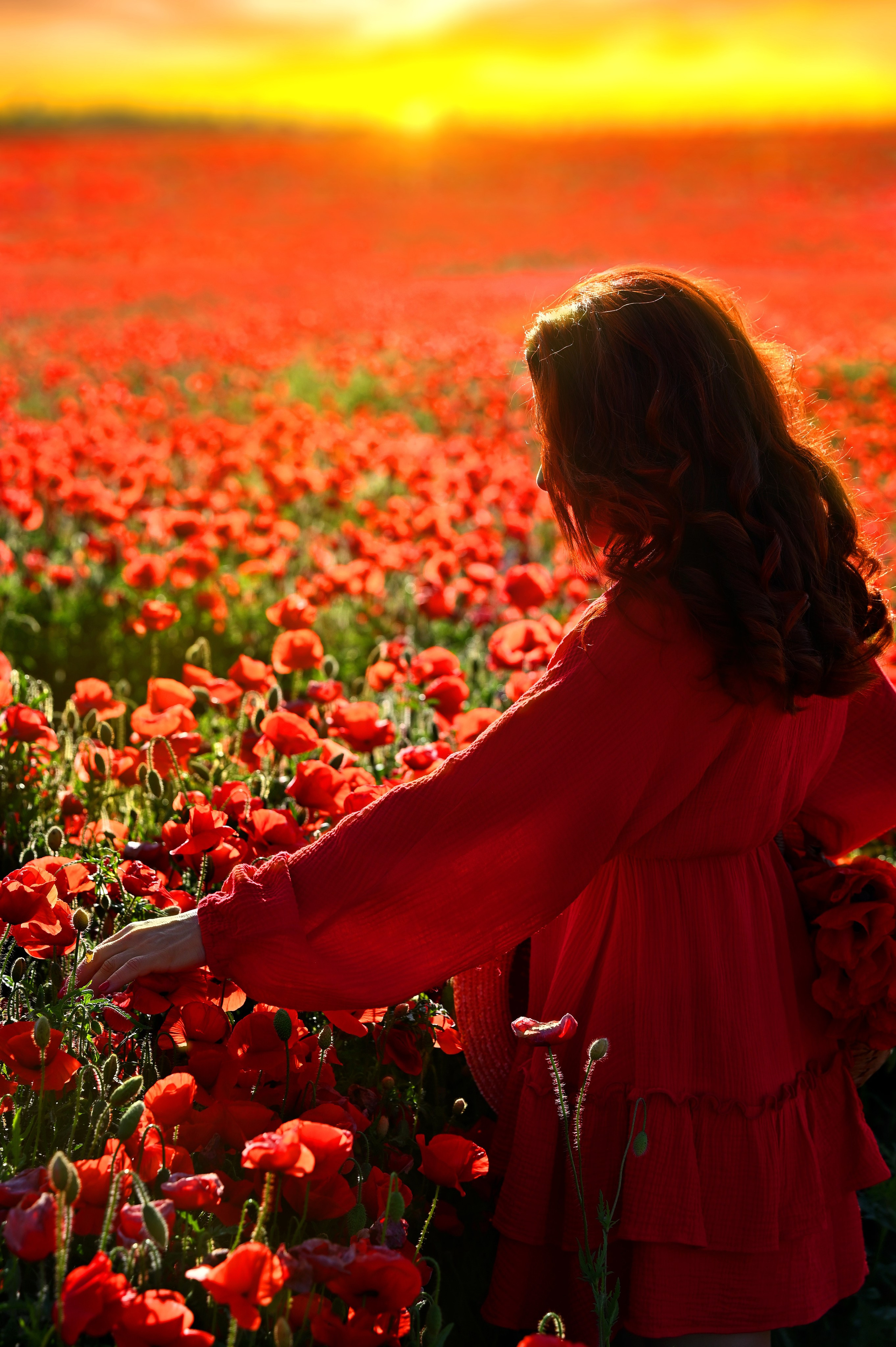 Маки. Главная