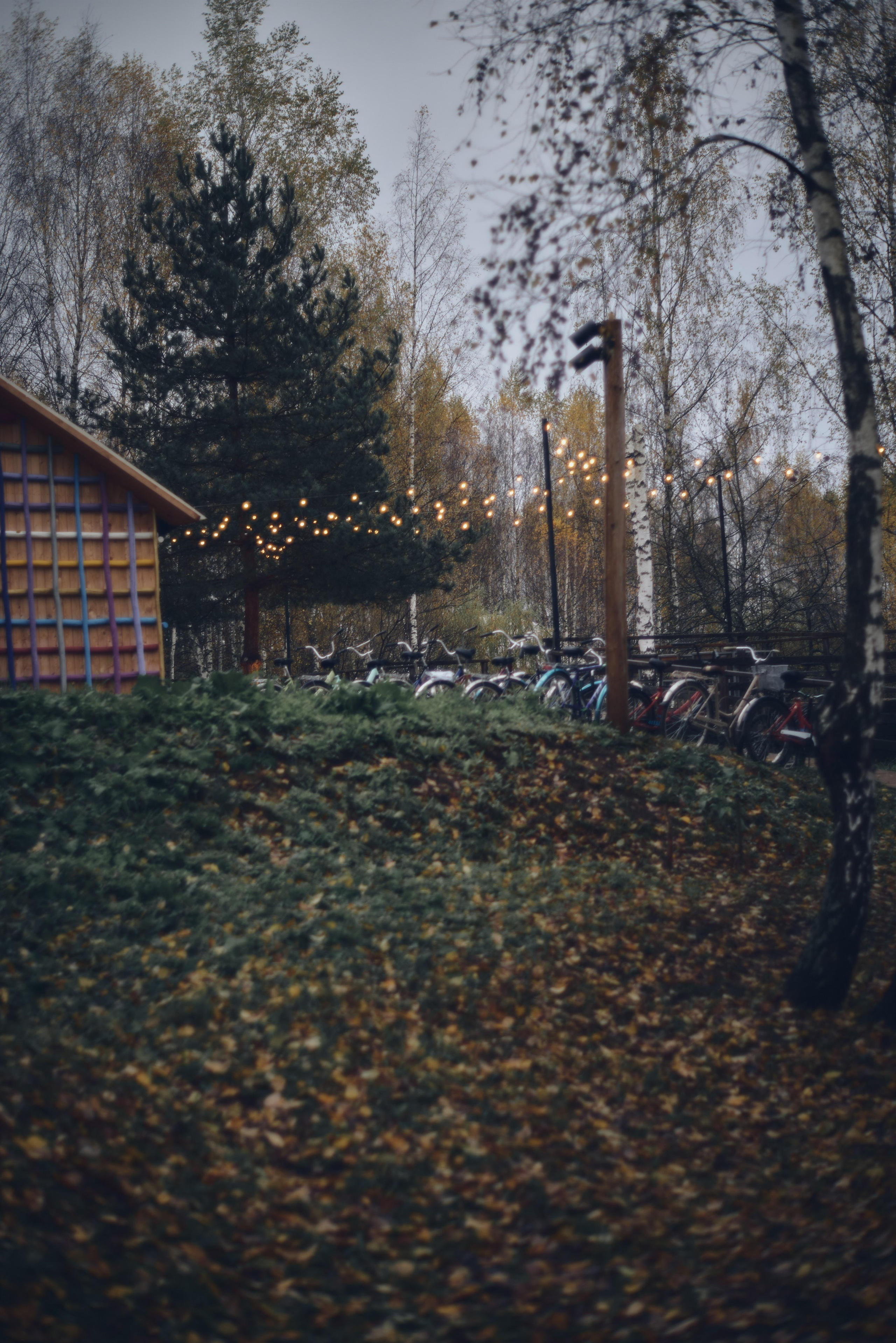 Осенние пейзажи Никола-Ленивца