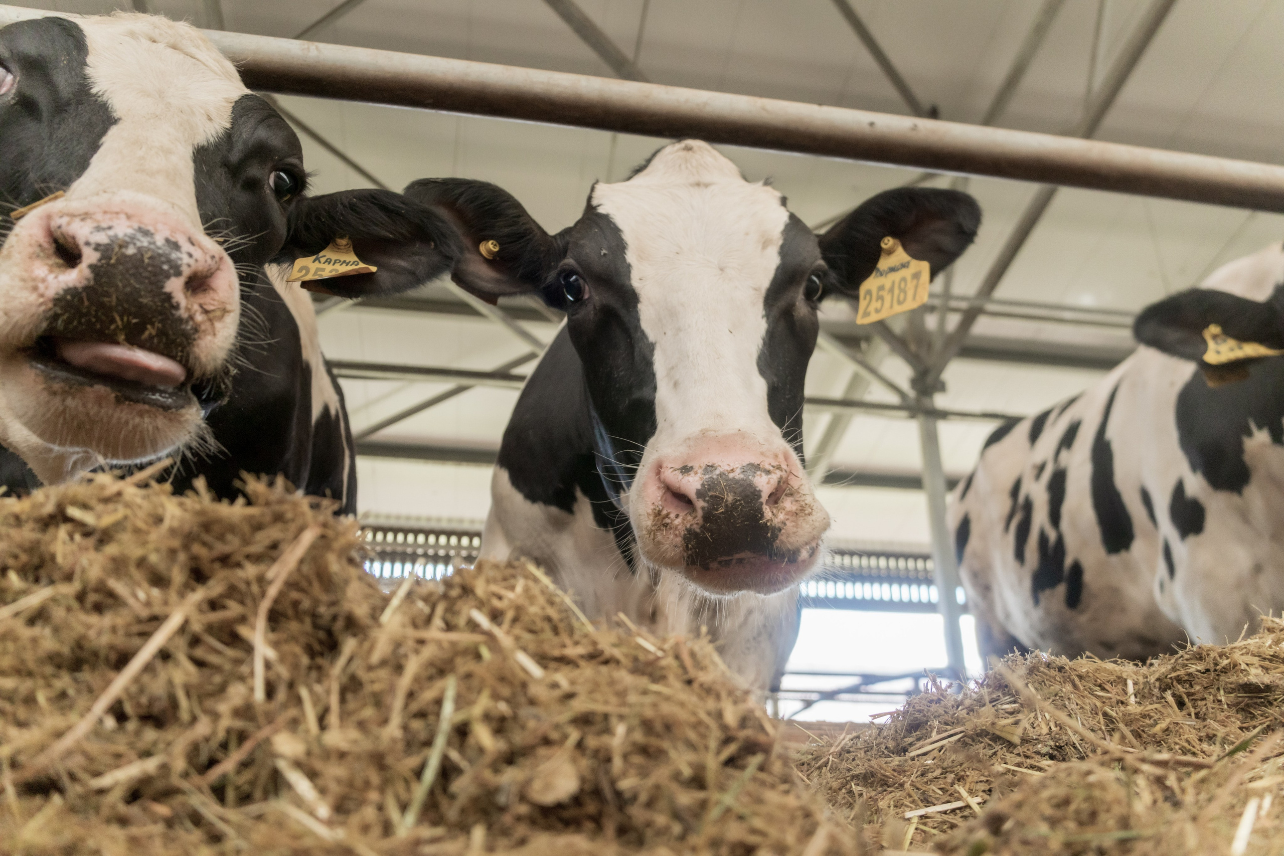 Промышленная фотография. Artur Photography