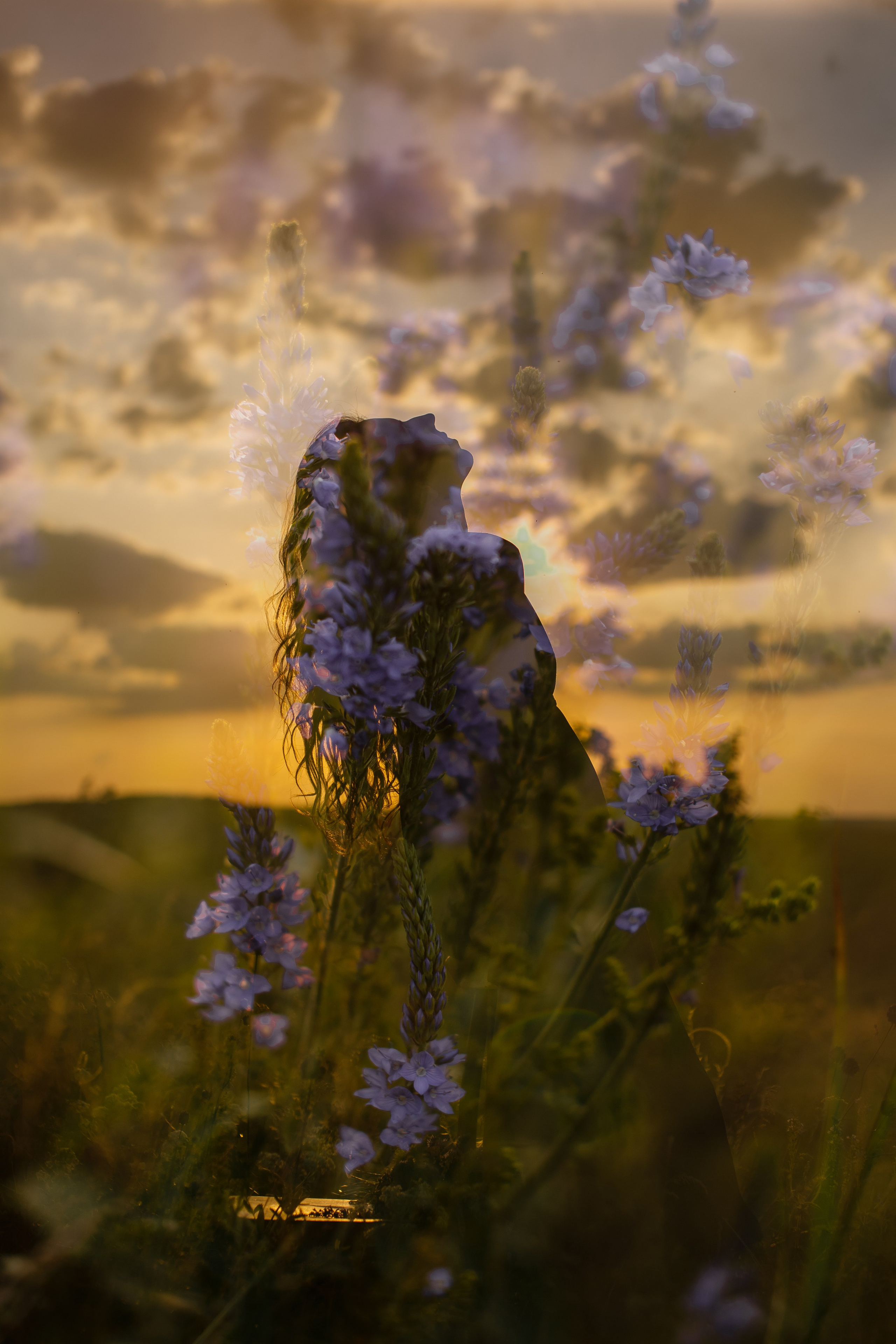 Женский портрет. Портретный и свадебный фотограф в Воронеже Елена Михайлова