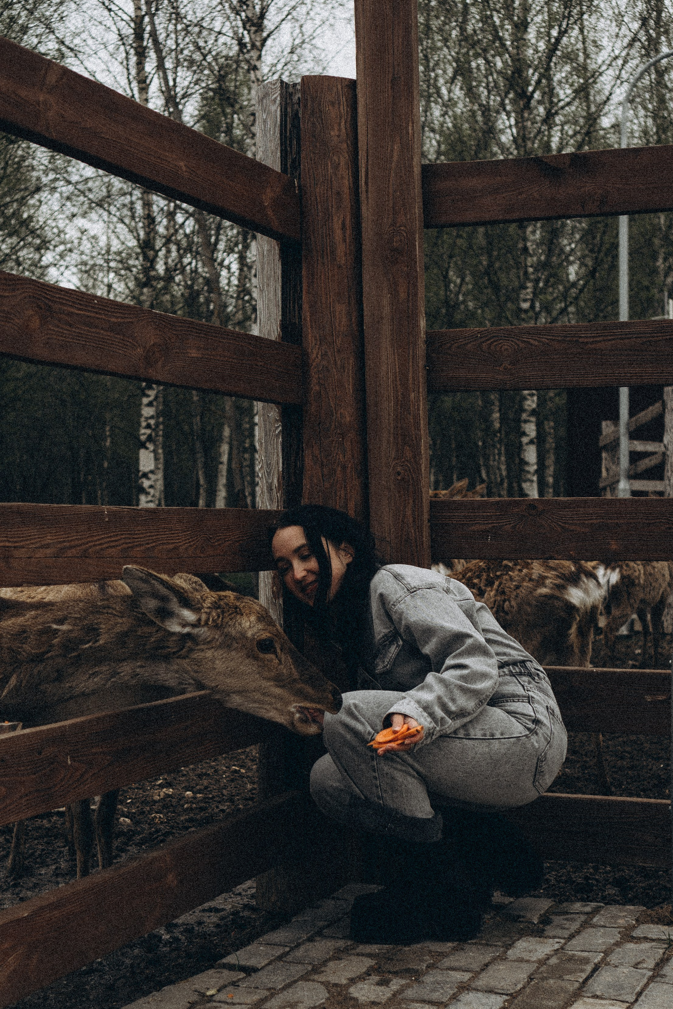 ОЛЕНЬЯ ФЕРМА В ТВЕРИ. Профессиональный фотограф, Санкт-Петербург — Виктория Богомолова