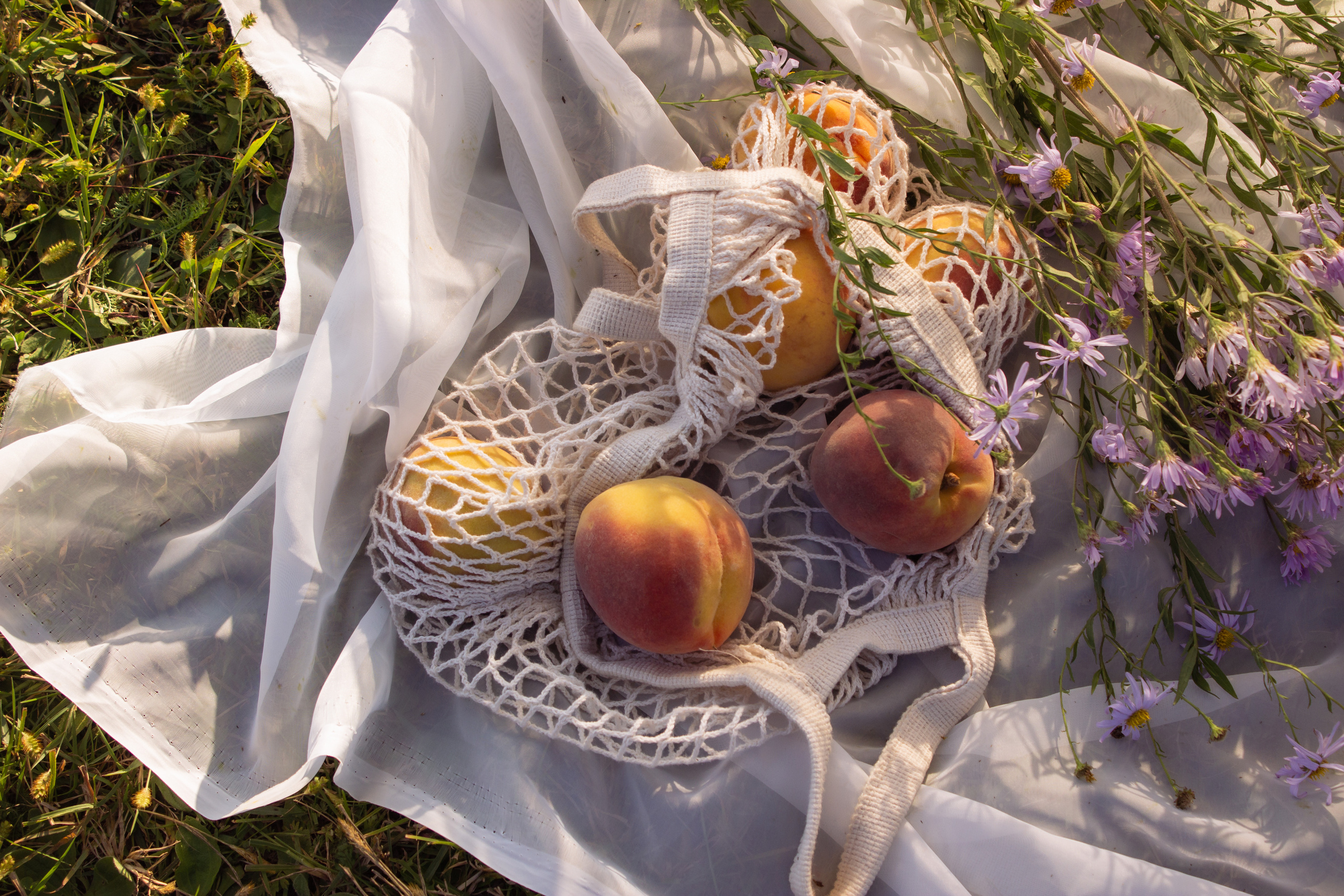 Пикник Александры. Фотограф в Хабаровске Светлана Буйвол
