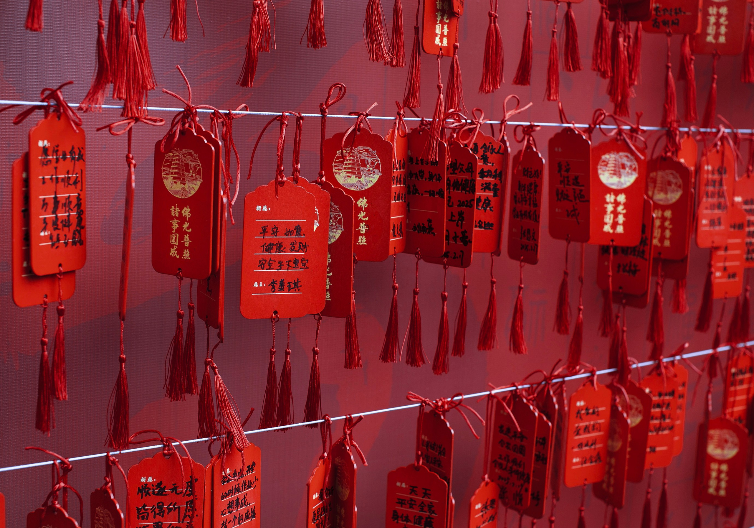 Китай'25: Пекин-Сиань-Шанхай. Фотограф-портретист в Москве