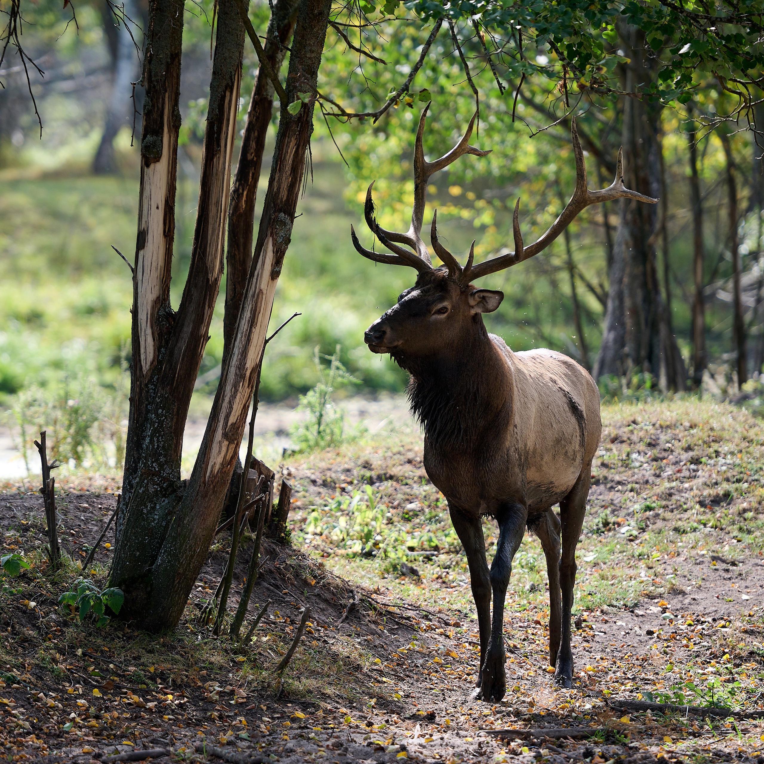 Истории. Фотосъемка мероприятий
