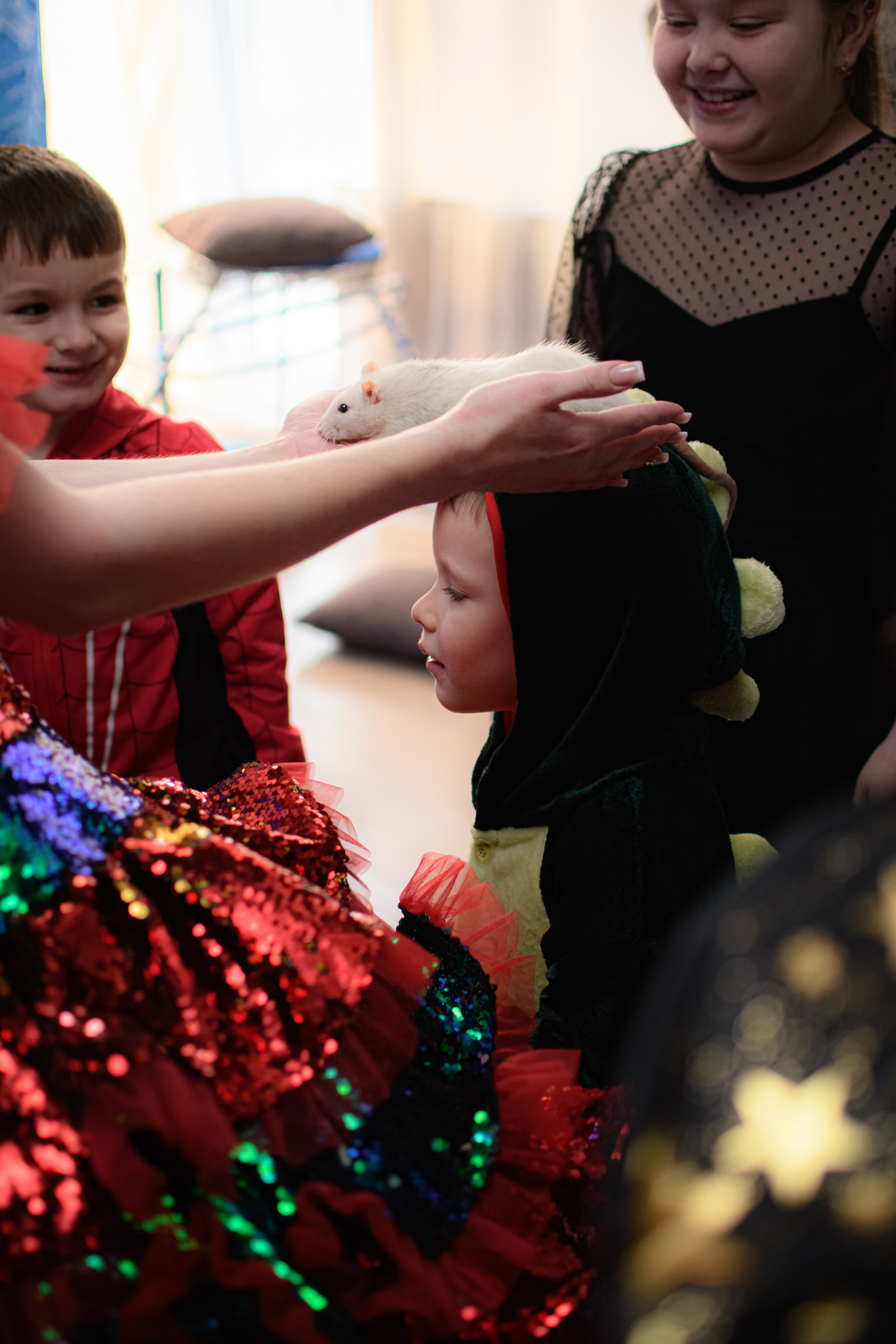 HAPPY NEW YEAR. Photokarish