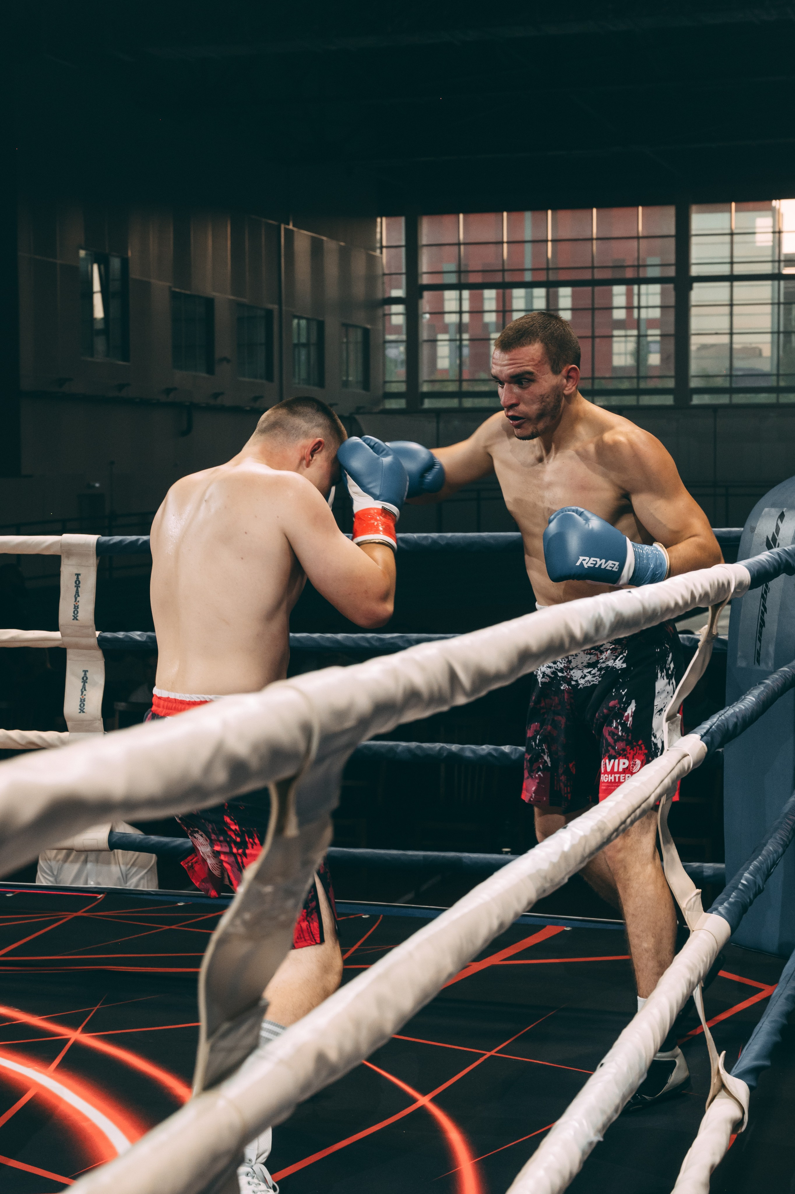 Лига боёв VipFighters. Фотограф в Волгограде Марина Черных