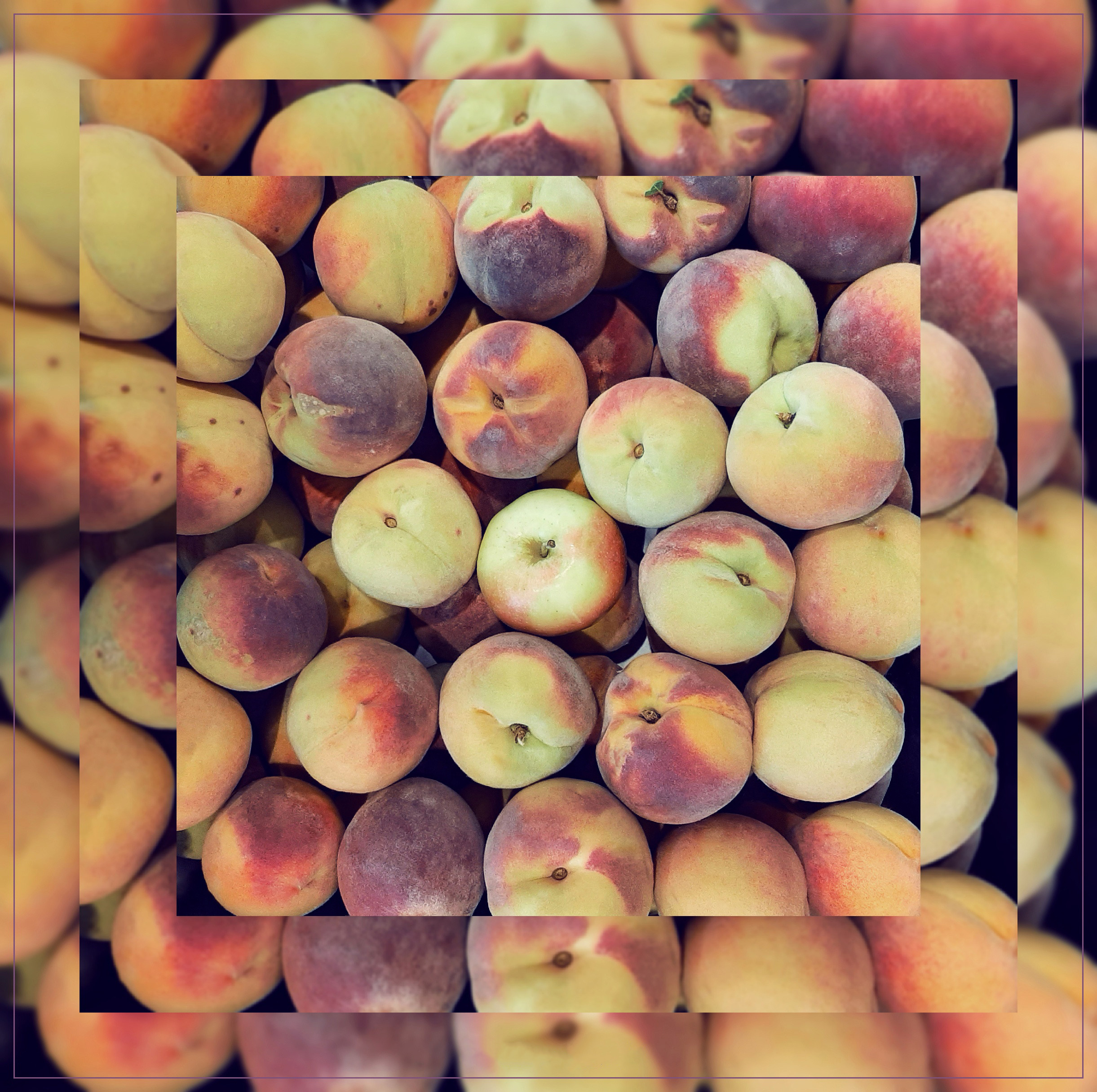 Яблоки. Мария Пичугина — фотограф в Петергофе — Санкт-Петербурге