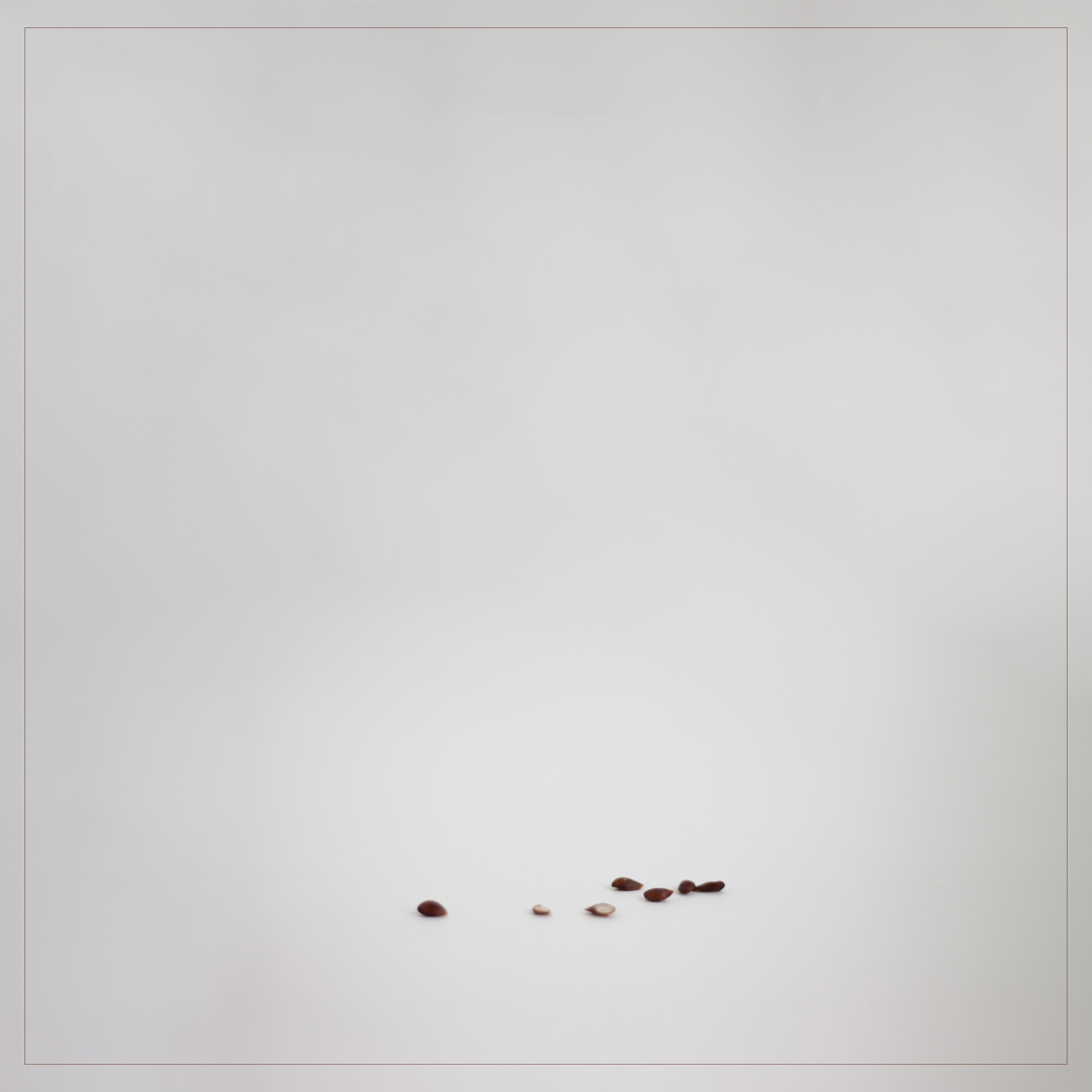 Яблоки. Мария Пичугина — фотограф в Петергофе — Санкт-Петербурге