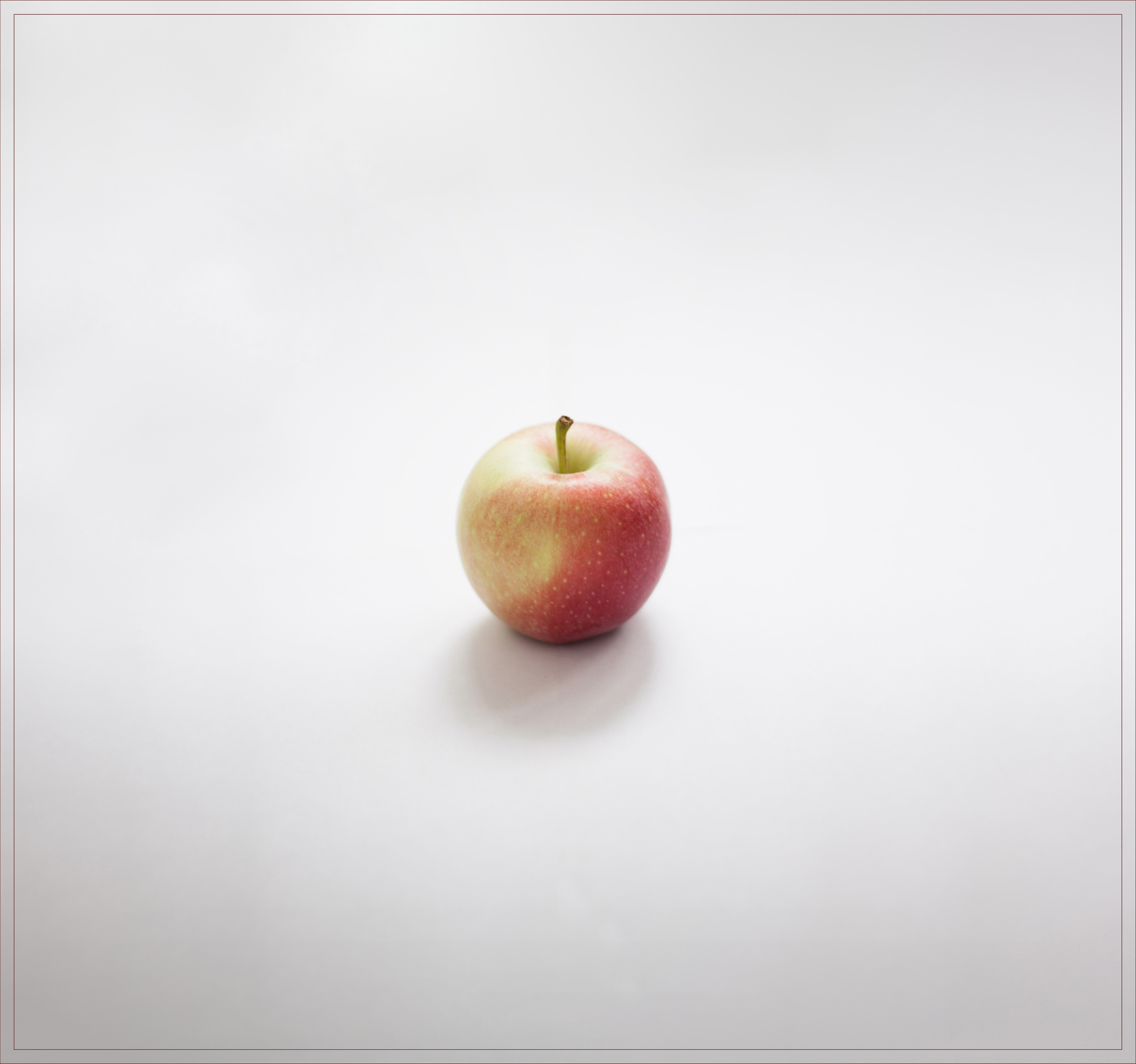 Яблоки. Мария Пичугина — фотограф в Петергофе — Санкт-Петербурге