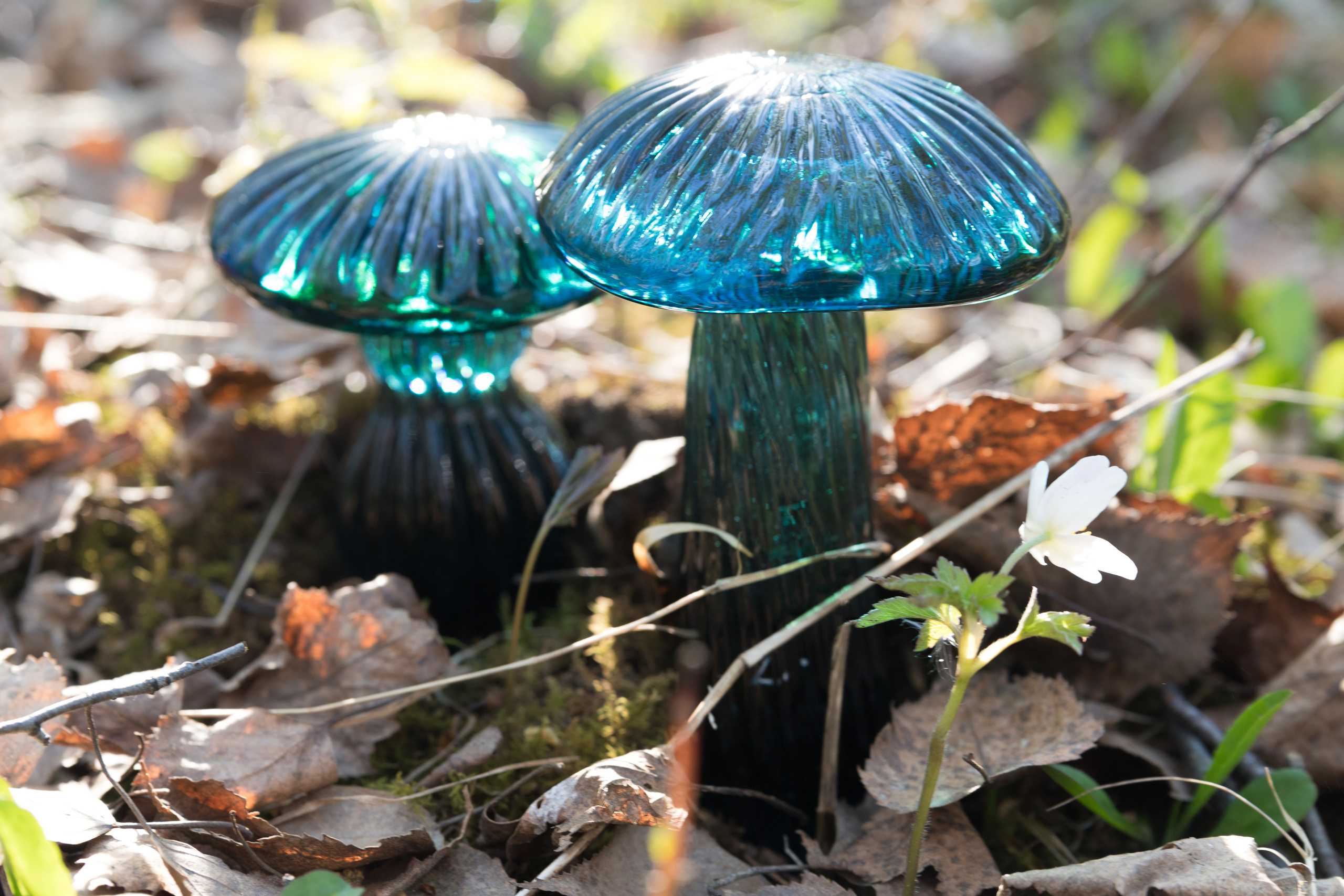 Стекло. Мария Пичугина — фотограф в Петергофе — Санкт-Петербурге