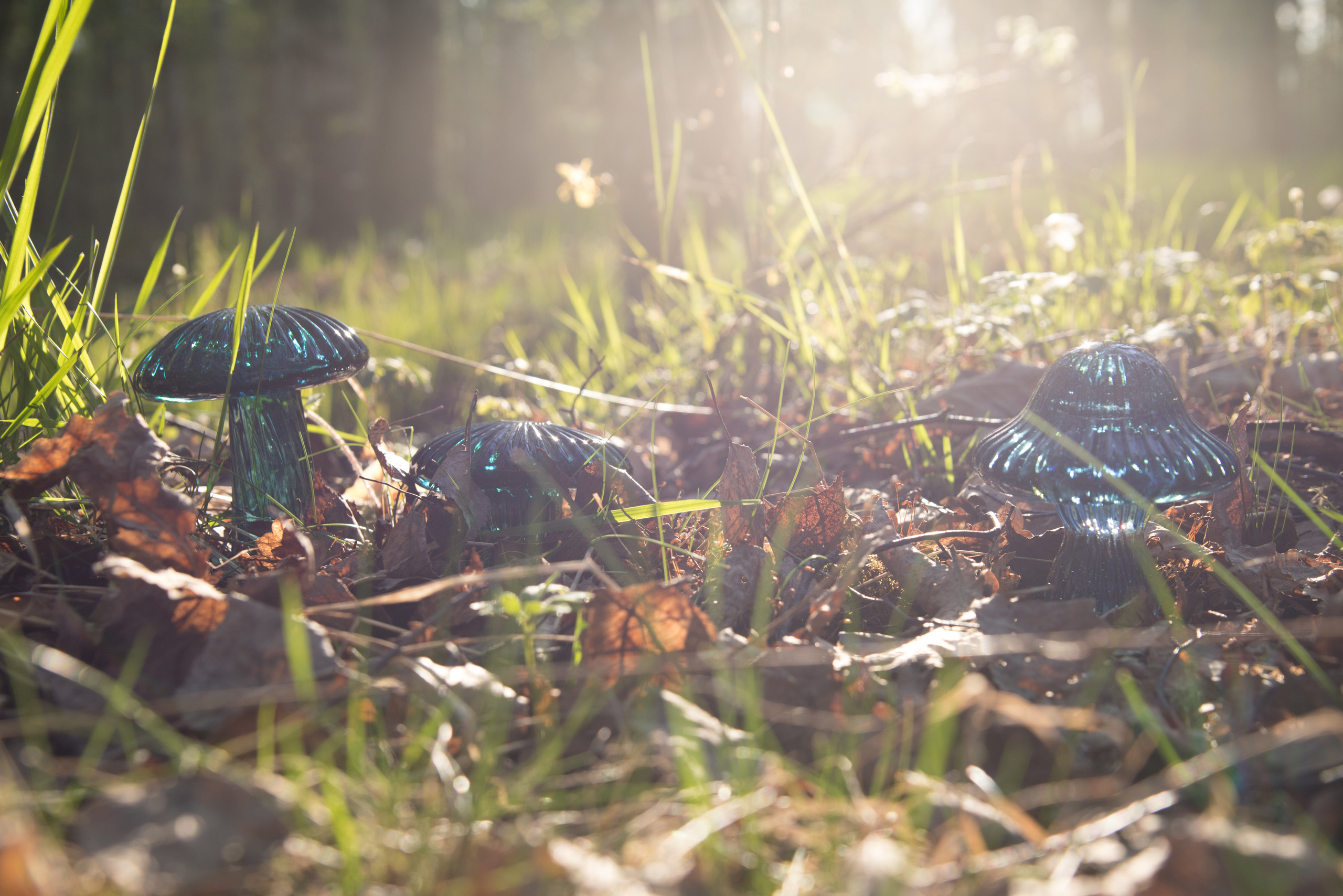 Стекло. Мария Пичугина — фотограф в Петергофе — Санкт-Петербурге