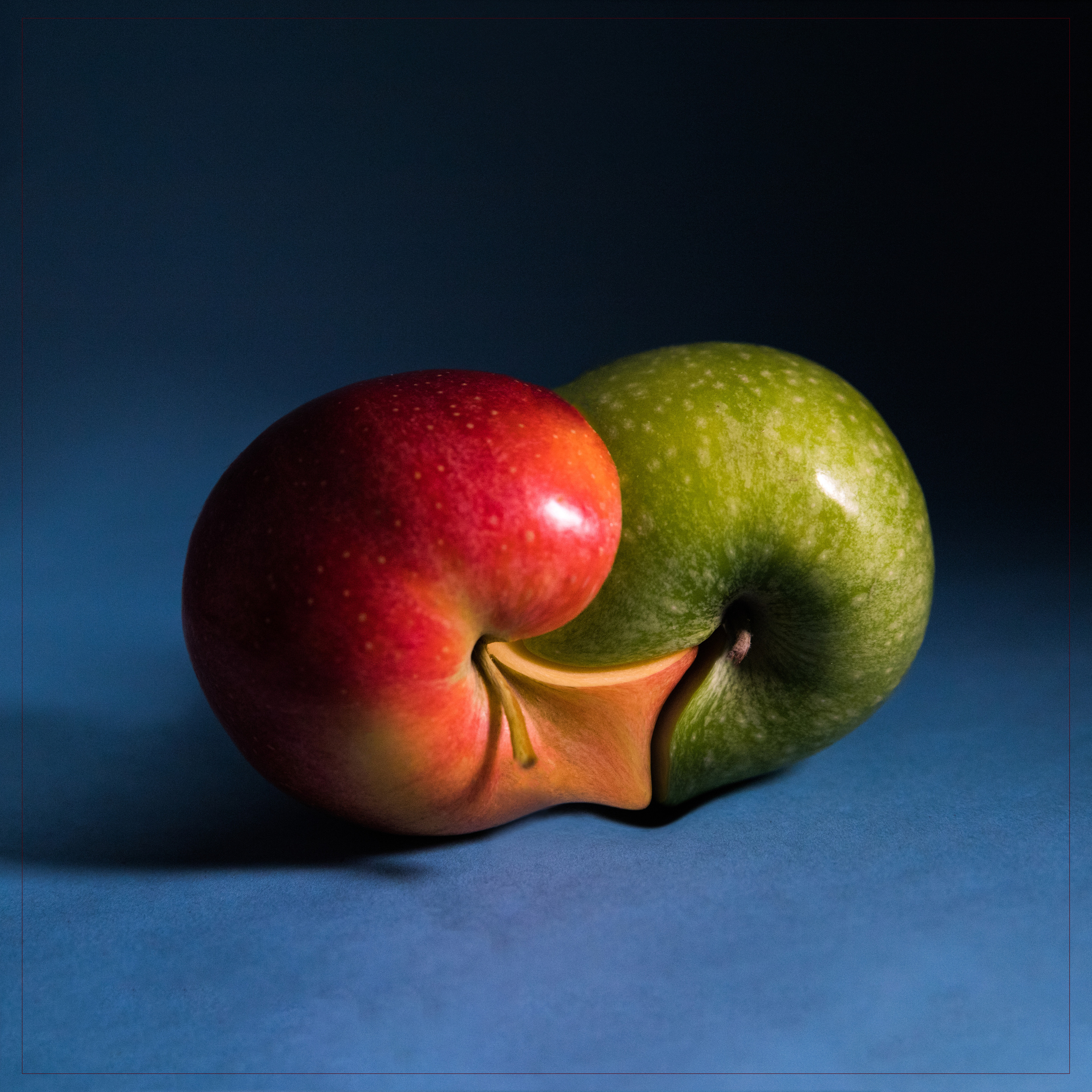 Яблоки. Мария Пичугина — фотограф в Петергофе — Санкт-Петербурге