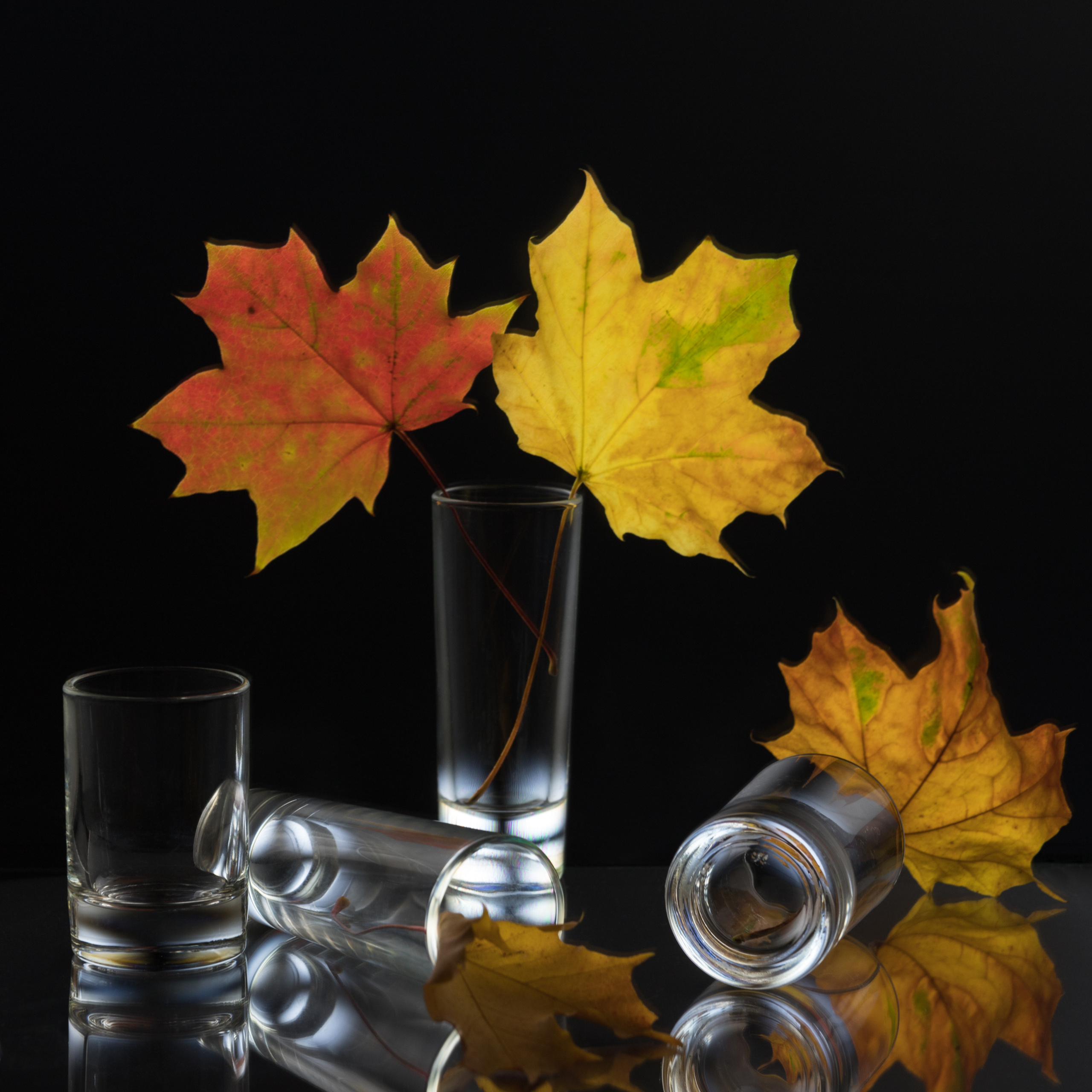 Стекло. Мария Пичугина — фотограф в Петергофе — Санкт-Петербурге