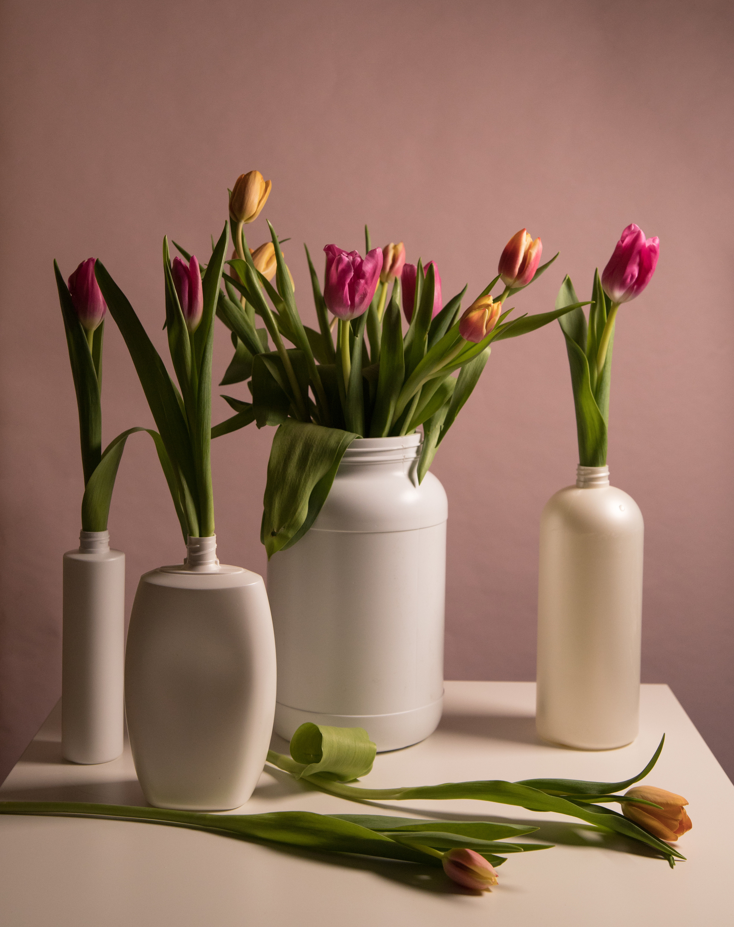 Цветы. Мария Пичугина — фотограф в Петергофе — Санкт-Петербурге