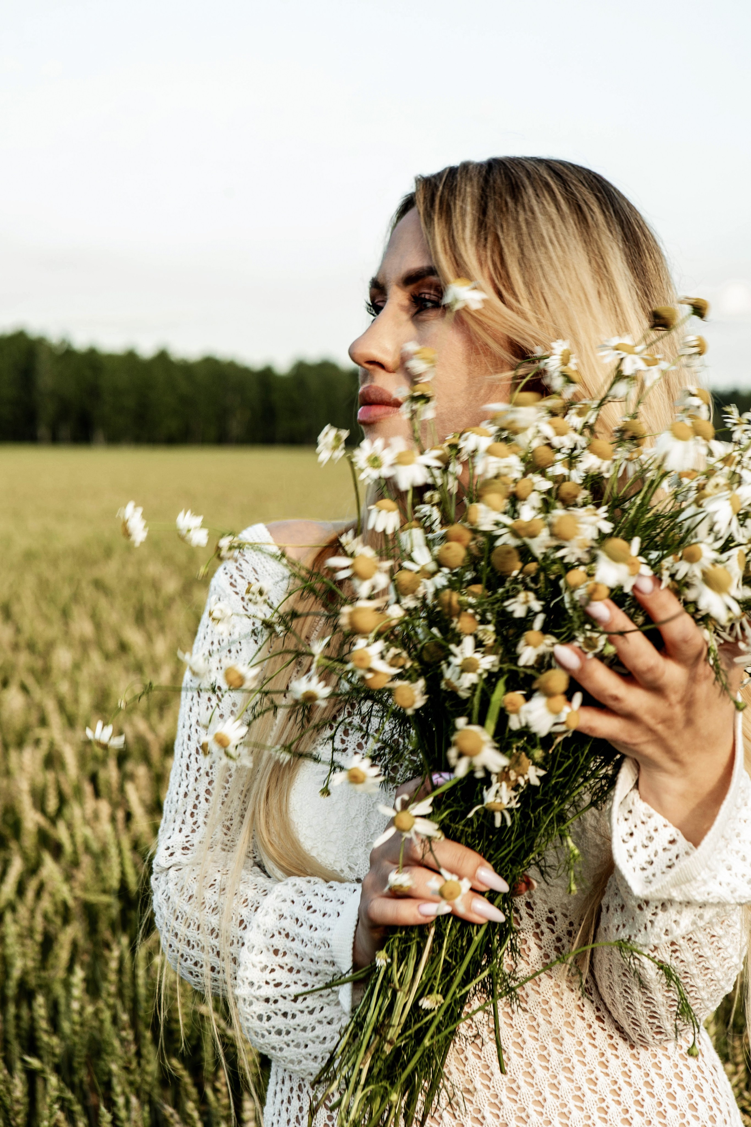 Ромашки. Фотограф Екатерина Голицына