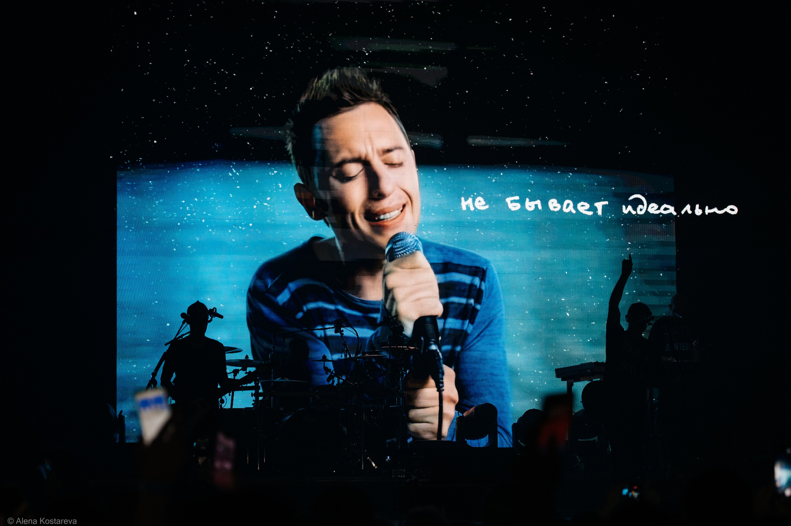 Звери. Алена Костарева. Фотограф в Ростове-на-Дону