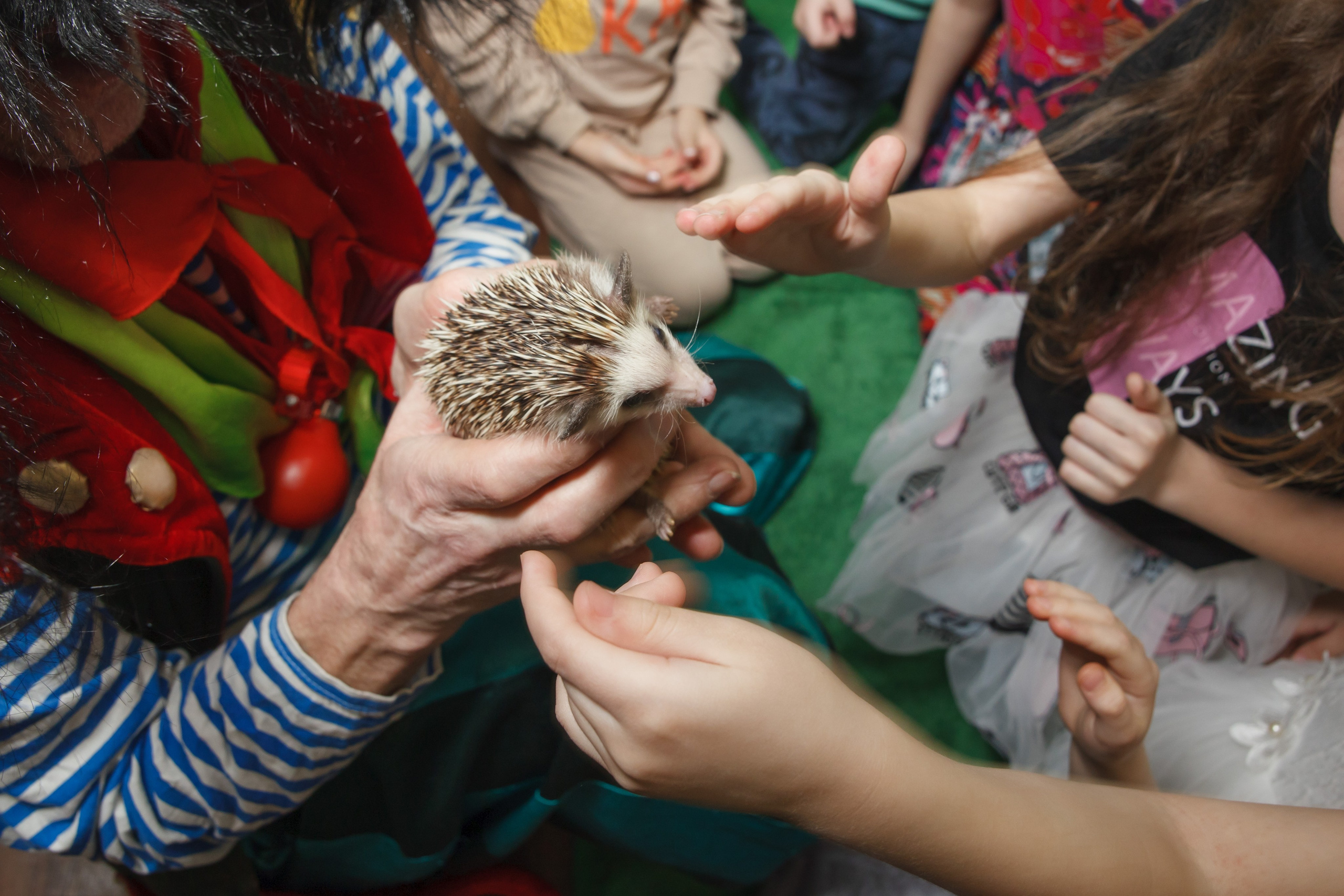 День рождения Егора, 6 лет, «Мультяшка». Свадебный и репортажный фотограф (Москва, Королев и другие)