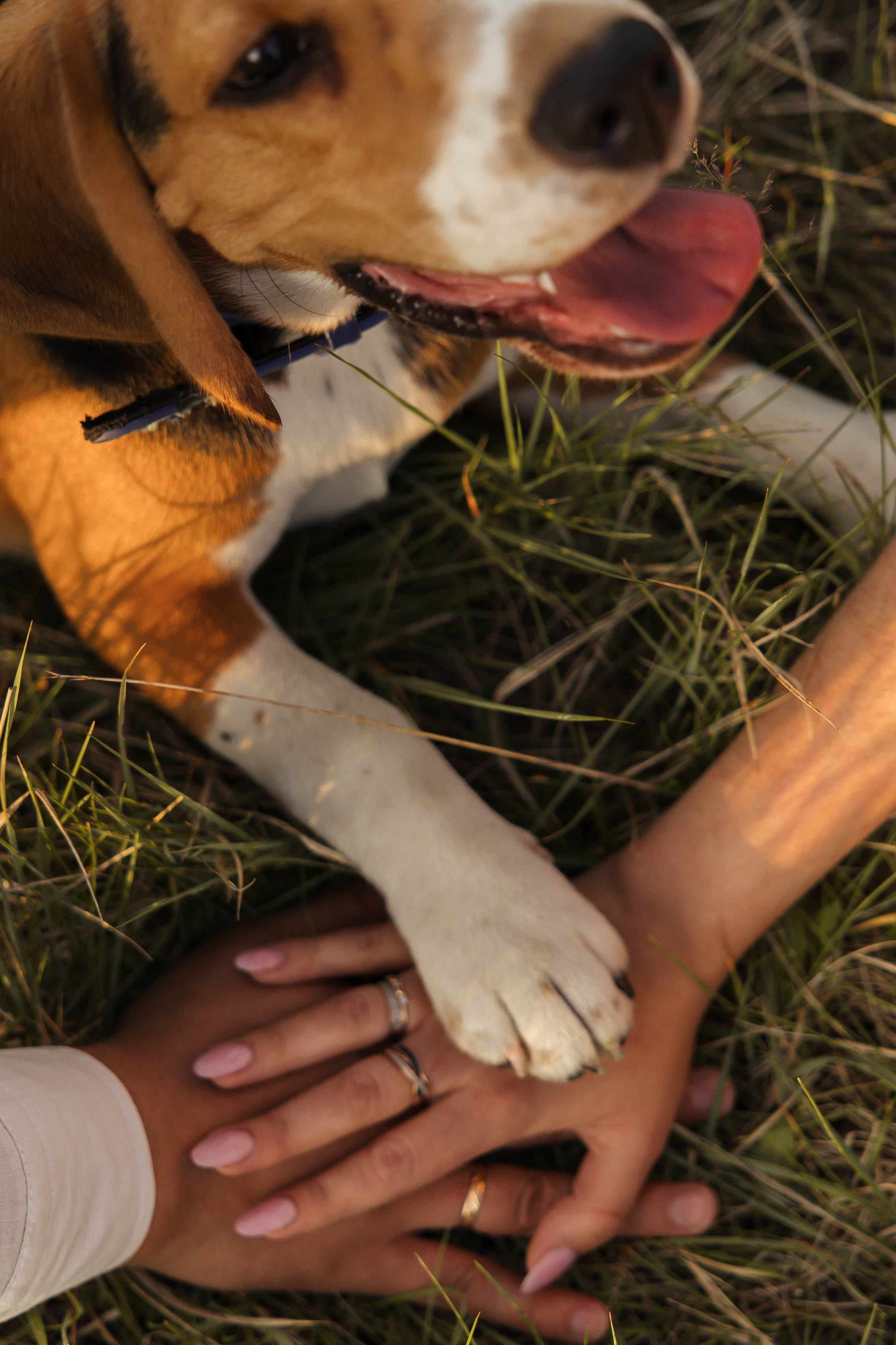 Глеб и Маша. Главная