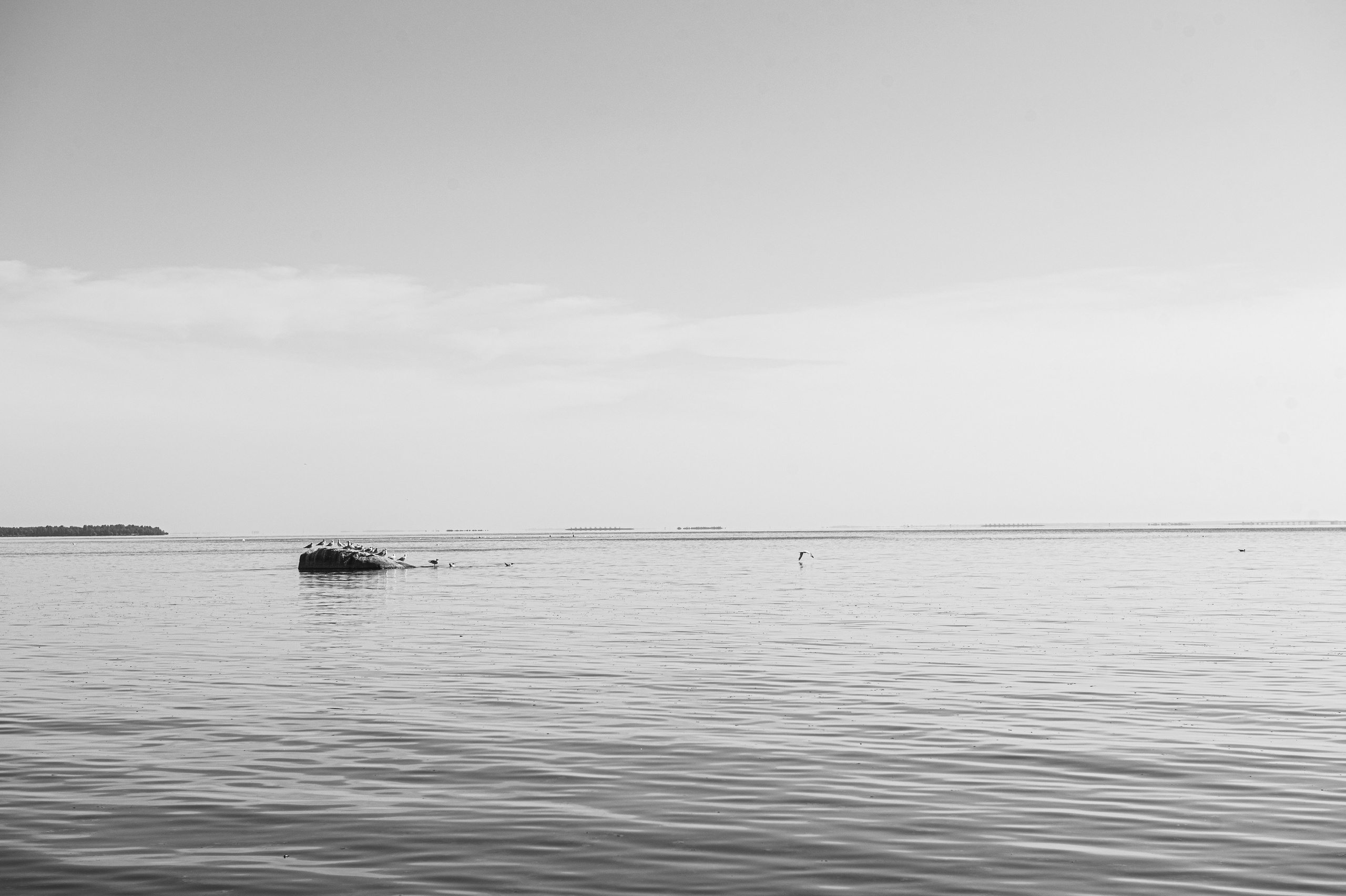 Репино. Портретный и архитектурный фотограф в Москве и Санкт-Петербурге