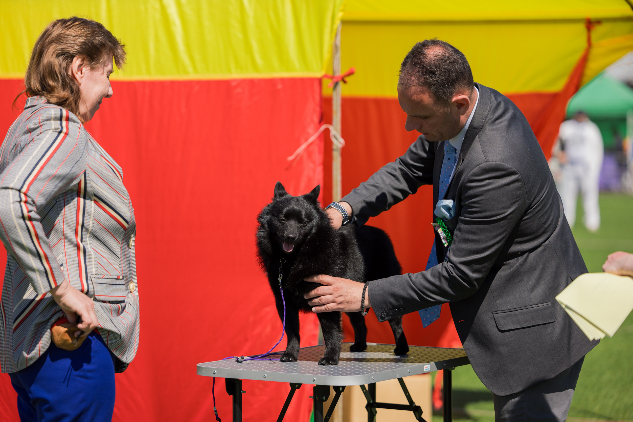 Суздаль 18-19.05.2024. Фотограф-анималист Юлия Германика