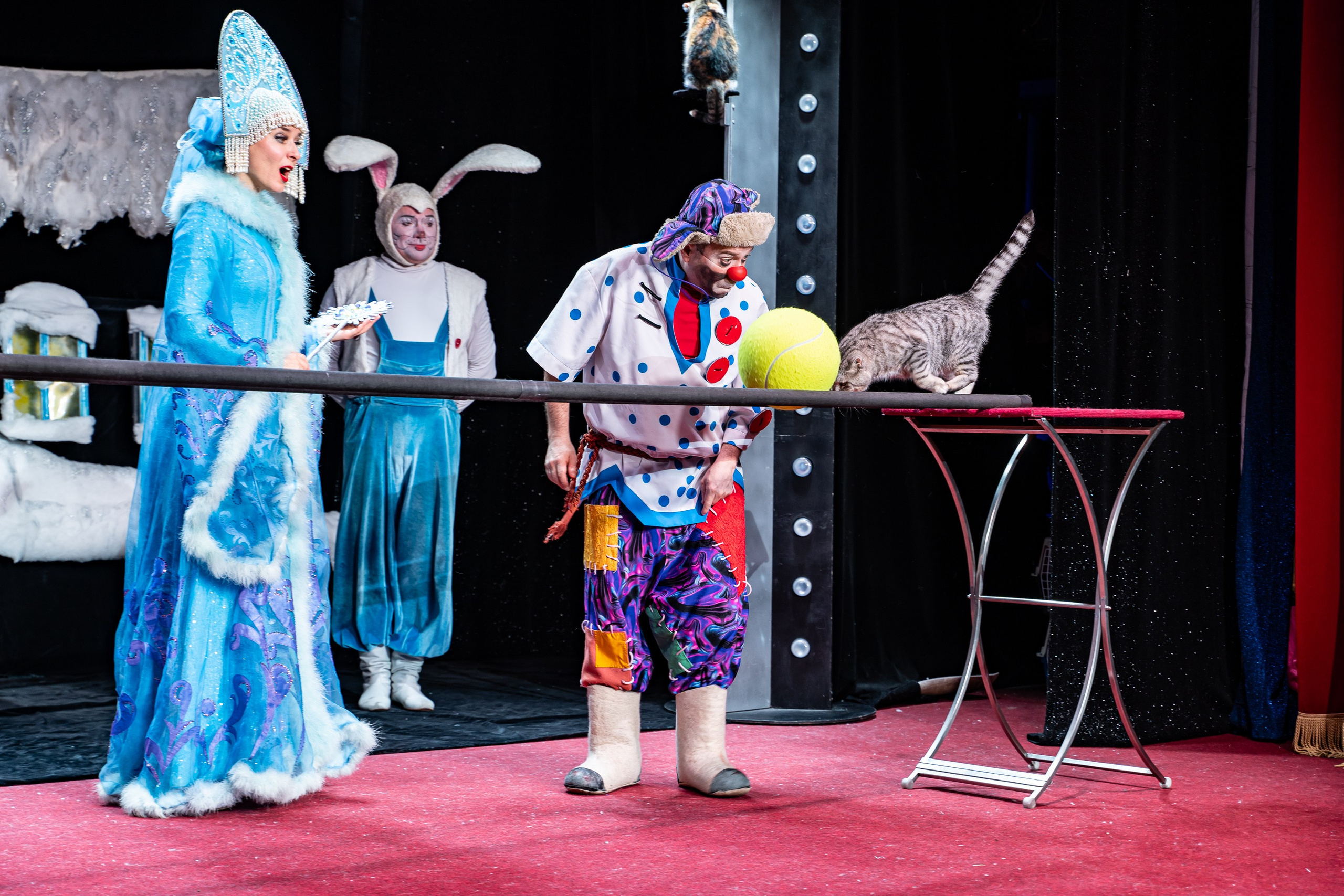 Театр Куклачева и его закулисье. Разноплановый фотограф в Москве