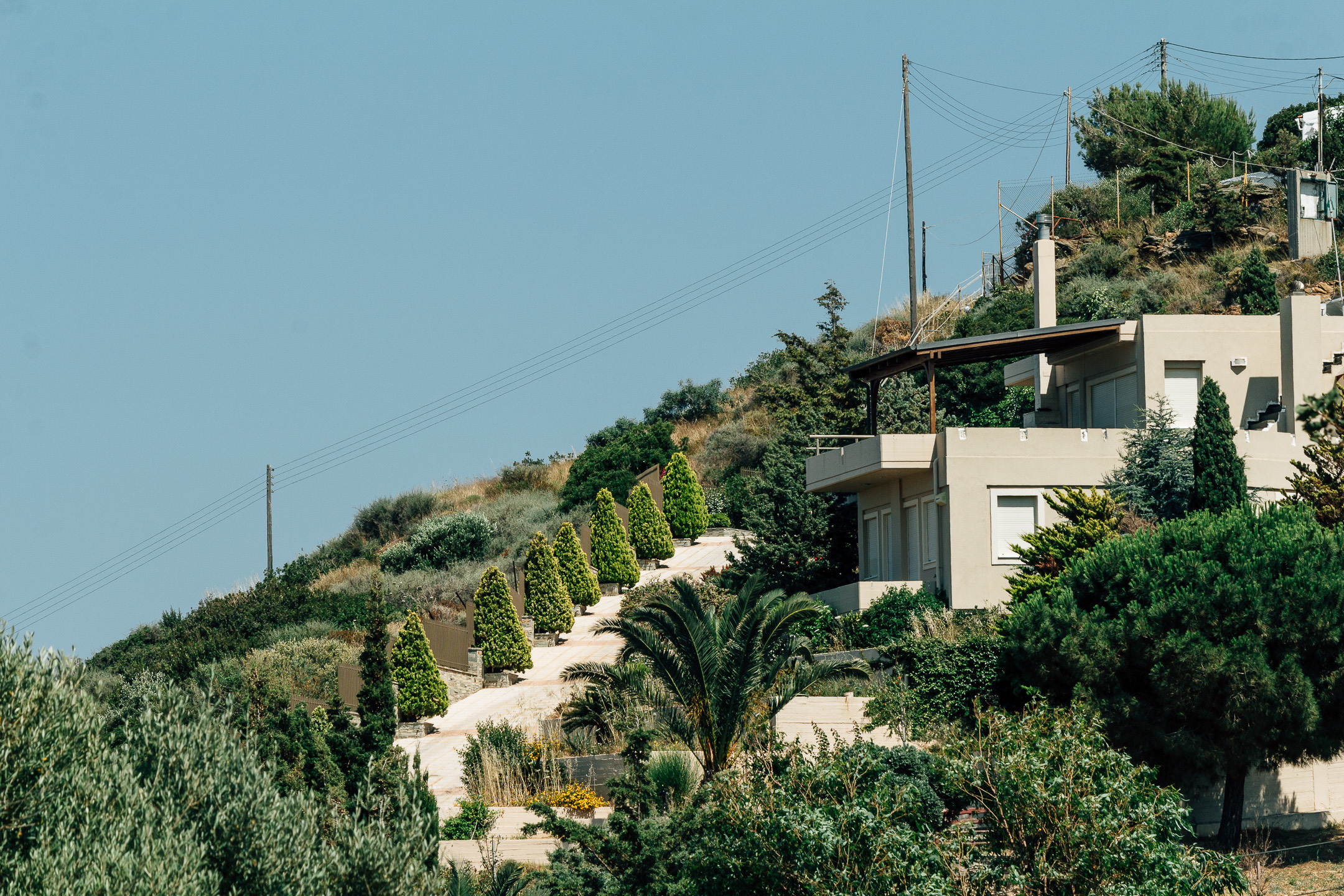 КРИТ • 2019. Творческая Мастерская Павла МАРЕЕВА