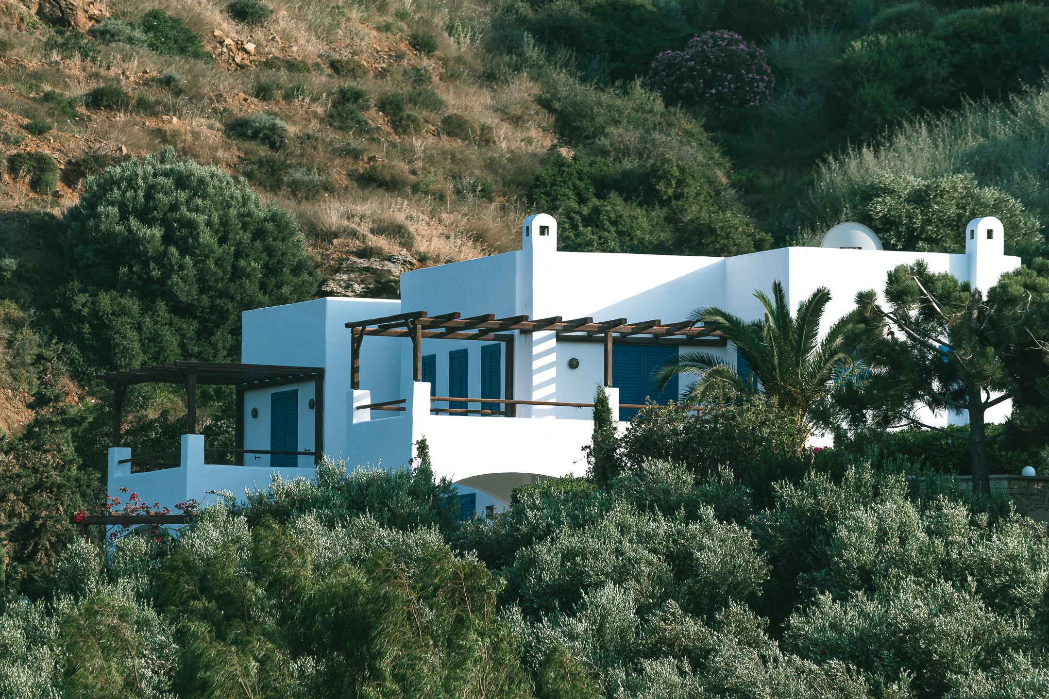 КРИТ • 2019. Творческая Мастерская Павла МАРЕЕВА